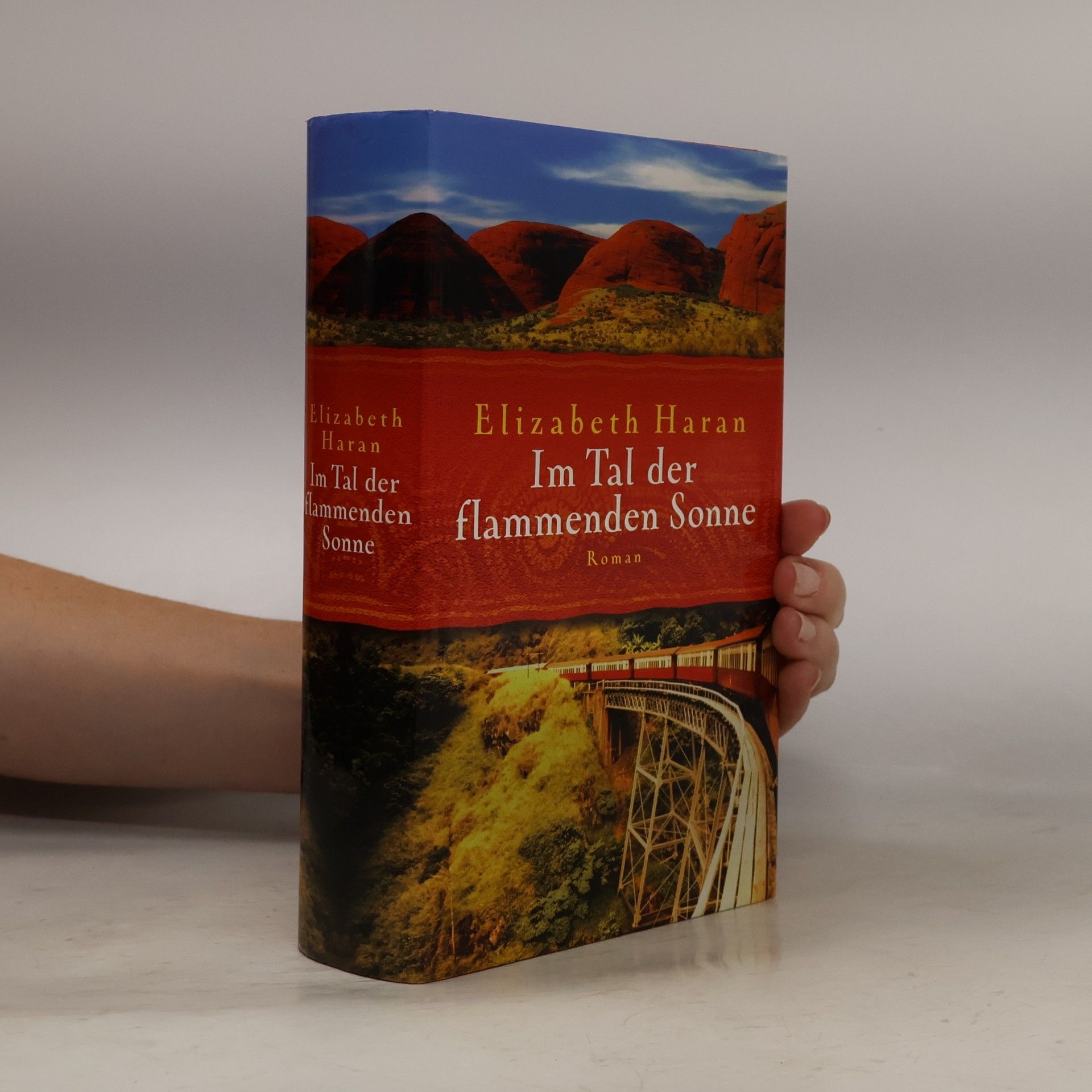 Elizabeth Haran Im Tal der flammenden Sonne