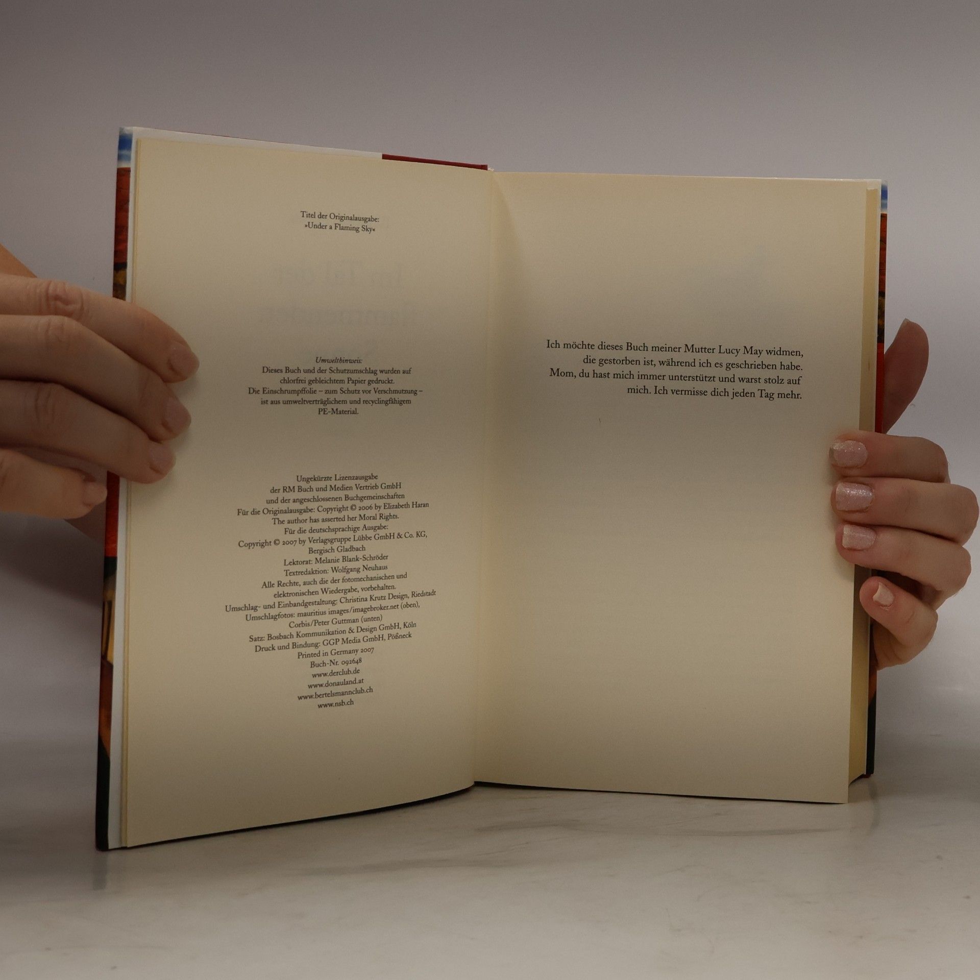 Elizabeth Haran Im Tal der flammenden Sonne