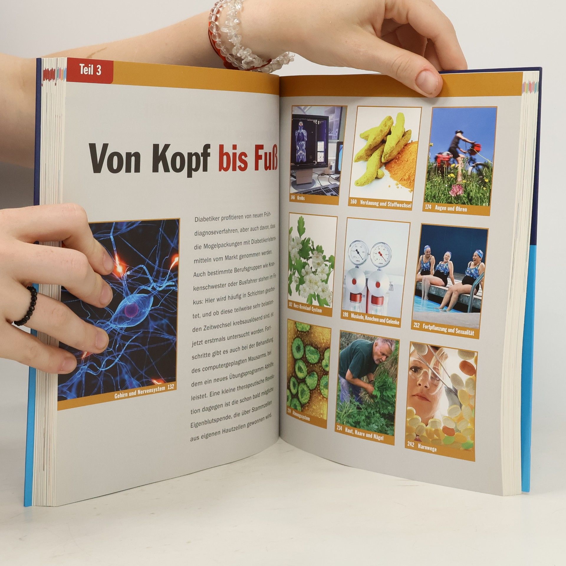 Kolektív autorov Das Neueste aus der Medizin 2012/2013
