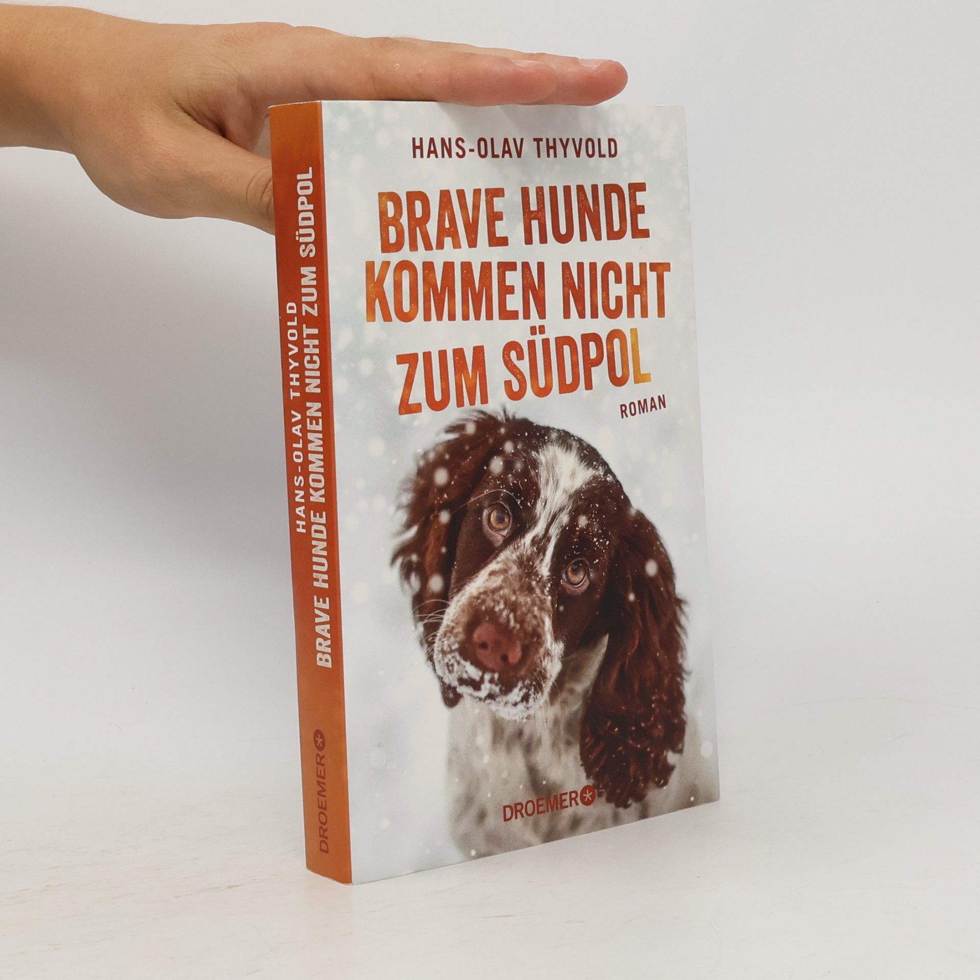 Hans Olav Thyvold Brave Hunde kommen nicht zum Südpol