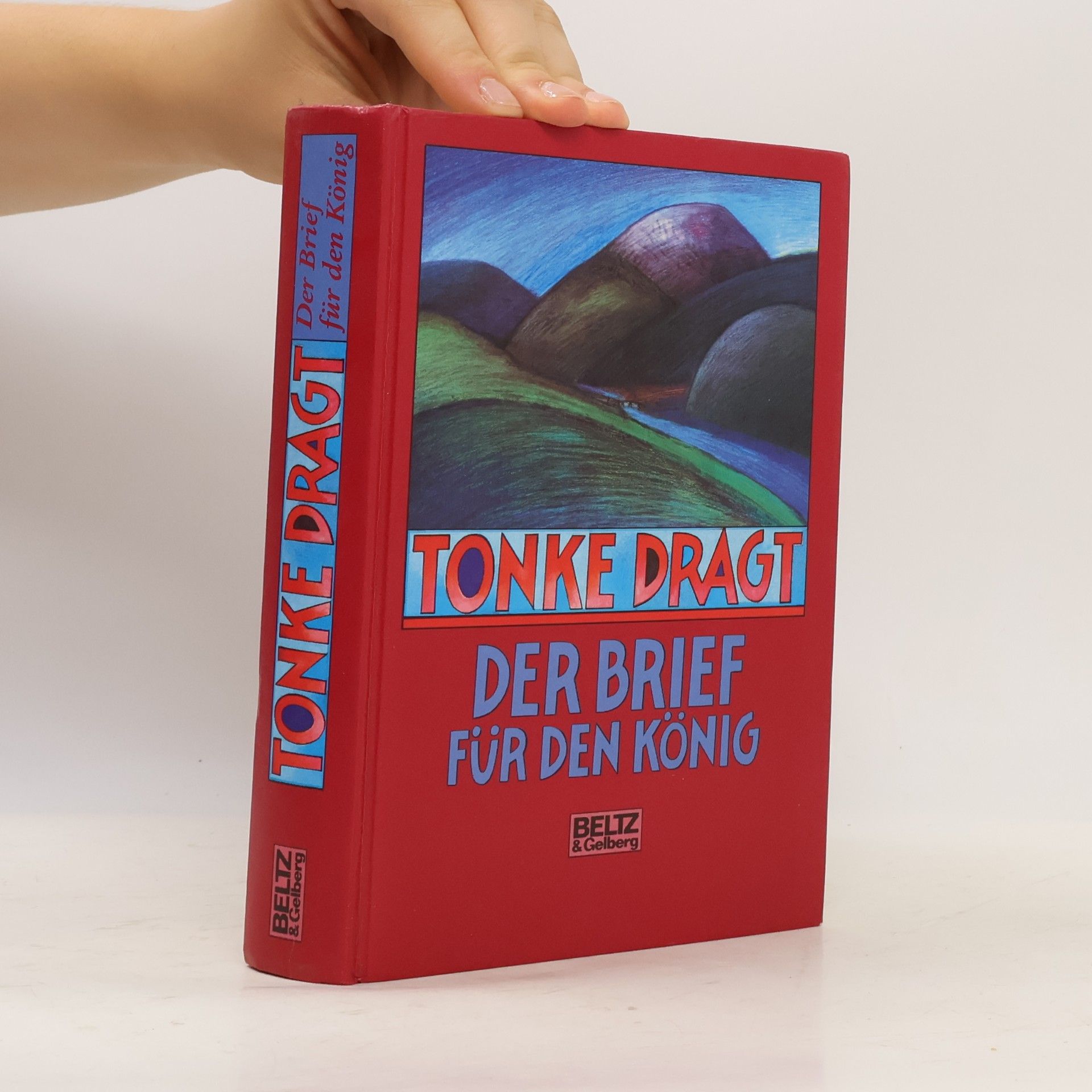 Tonke Dragt Der Brief für den König
