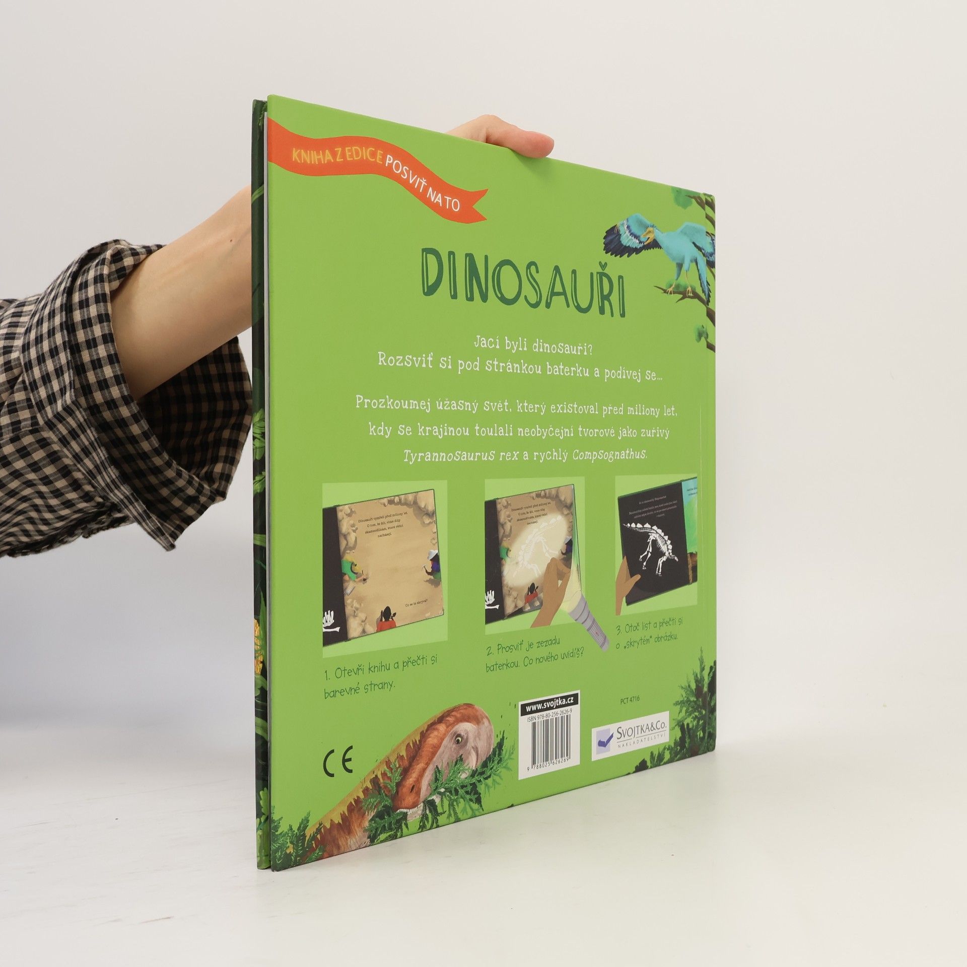 Sara Hurst Dinosauři