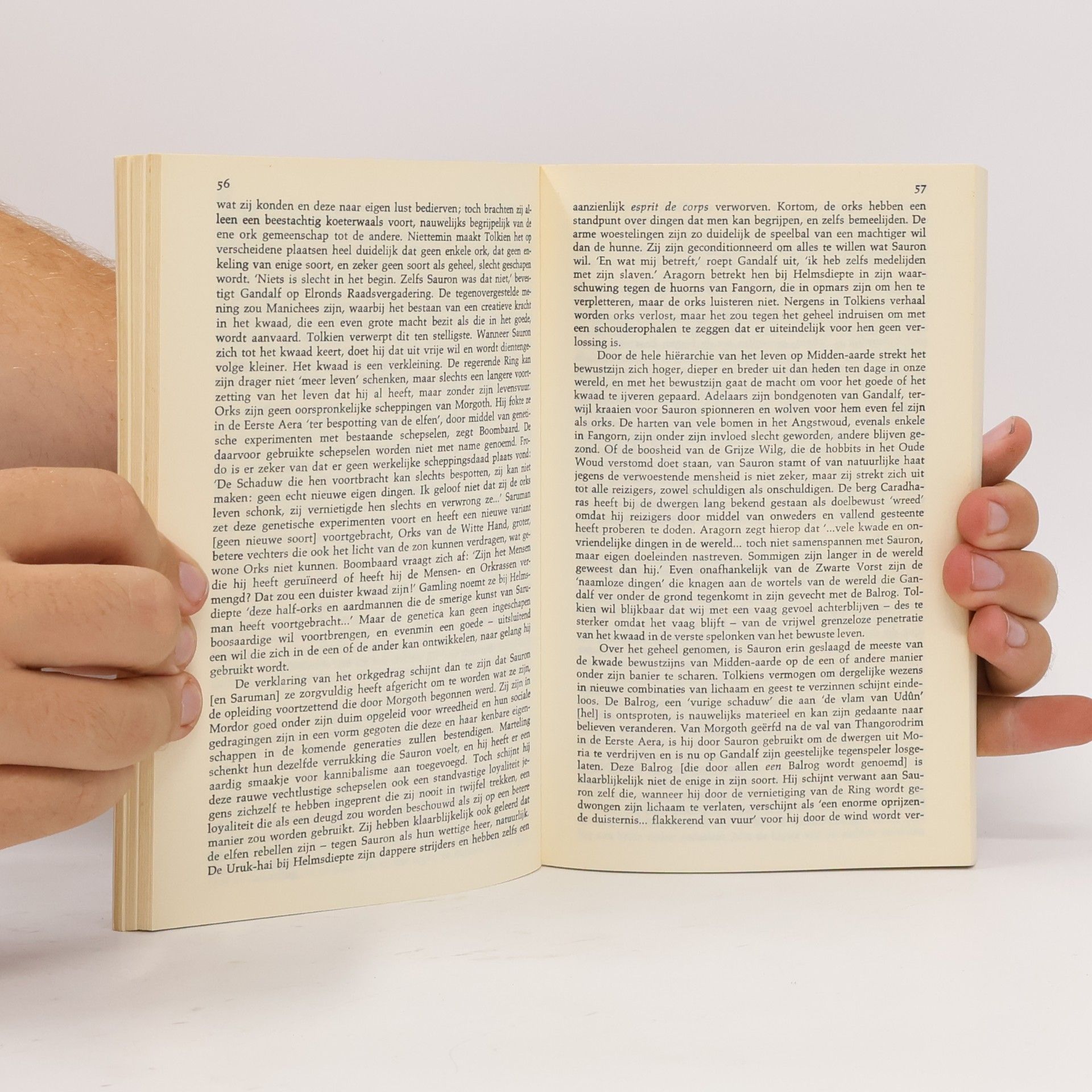 Paul H. Kocher Tolkien: Meester van Midden-Aarde