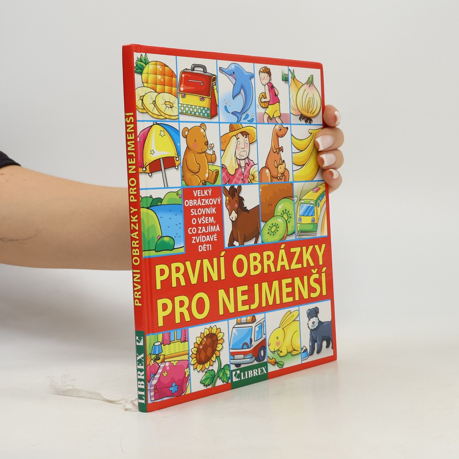 Kolektiv autorů První obrázky pro nejmenší