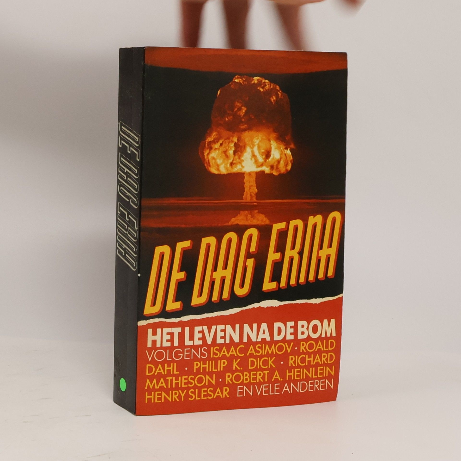 De dag erna