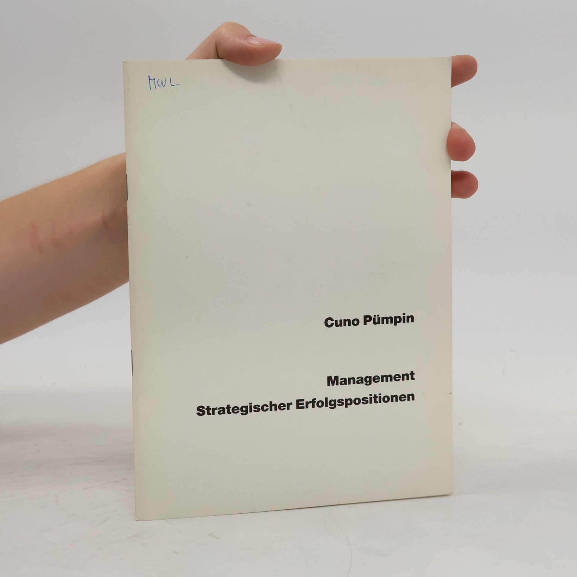 Cuno Pümpin Management Strategischer Erfolgspositionen