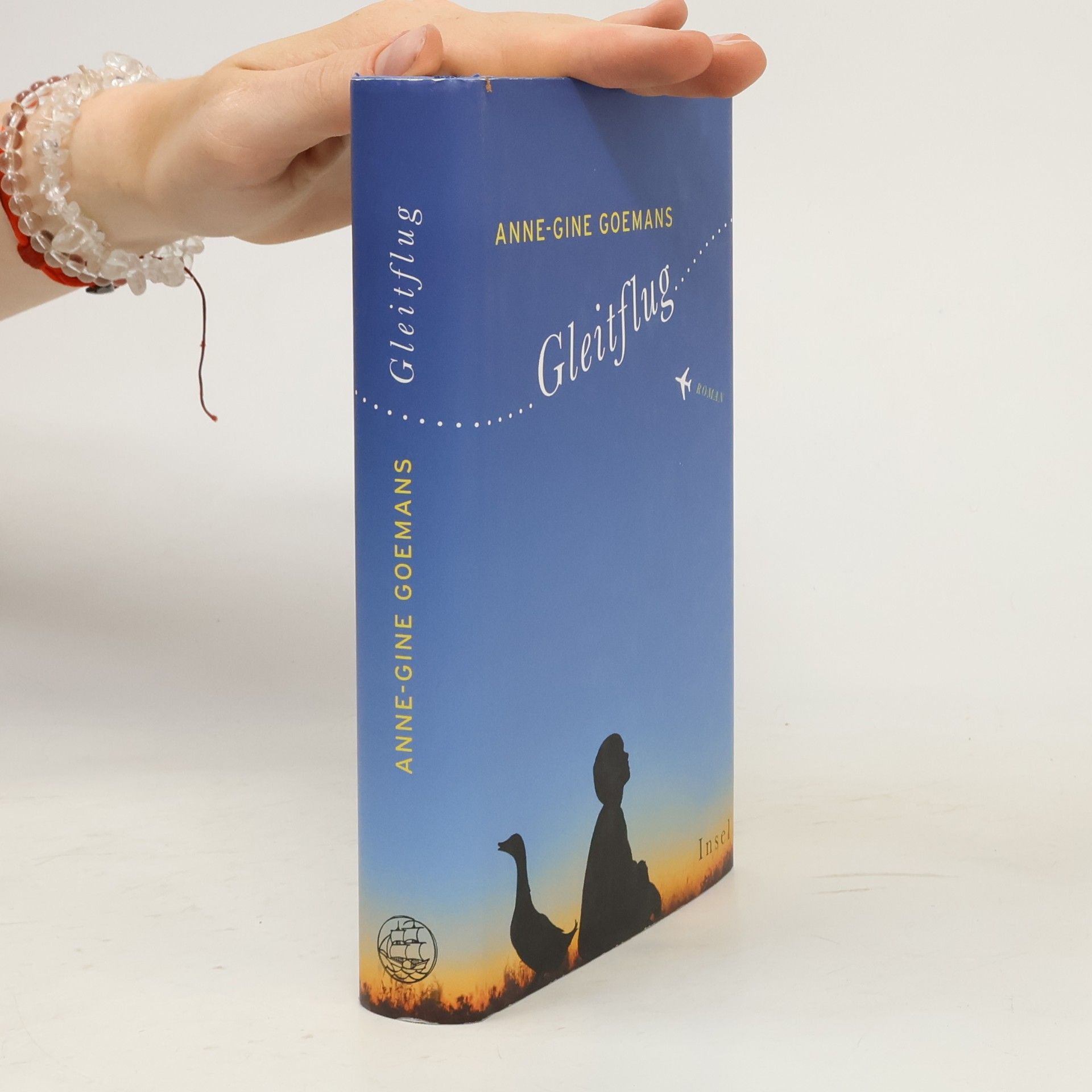 Anne Gine Goemans Gleitflug