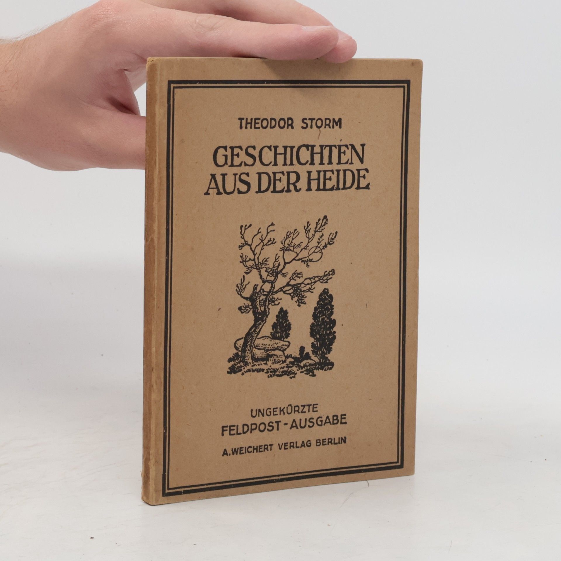 Theodor Storm Geschichten aus der Heide