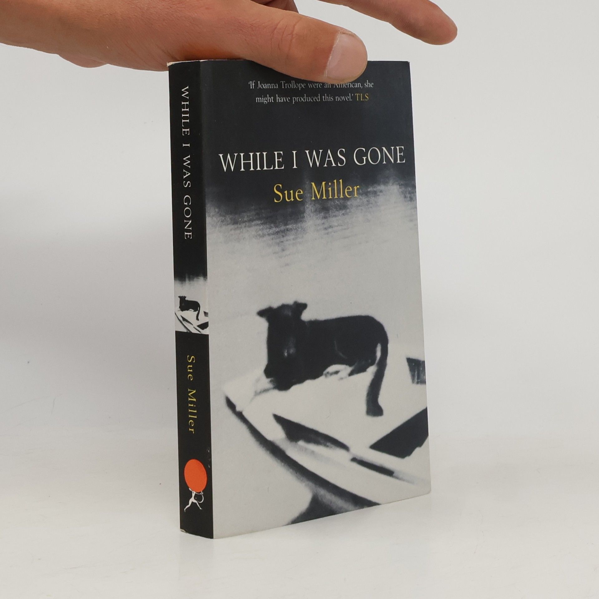Sue Miller While I Was Gone