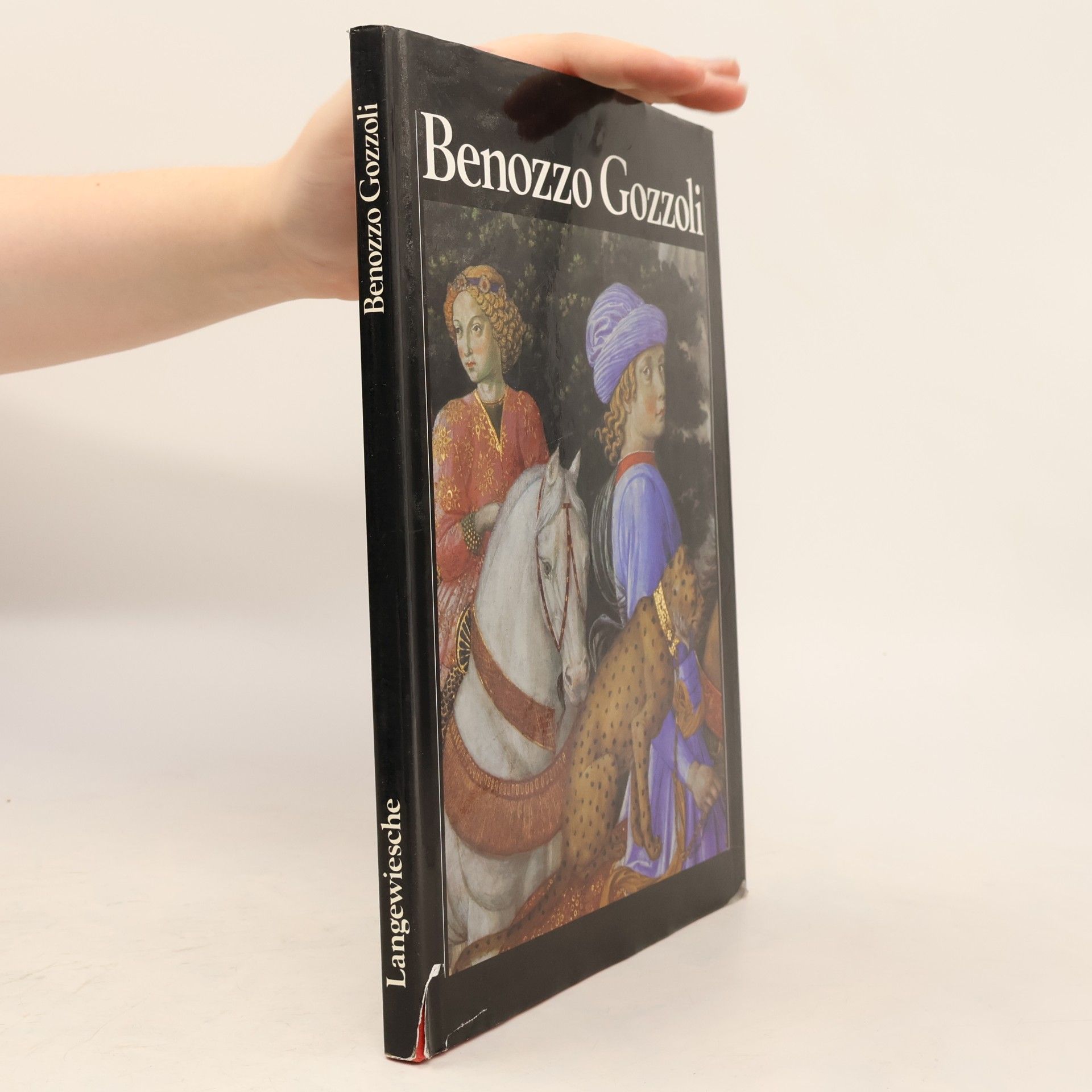 Kolektiv autorů Benozzo Gozzoli