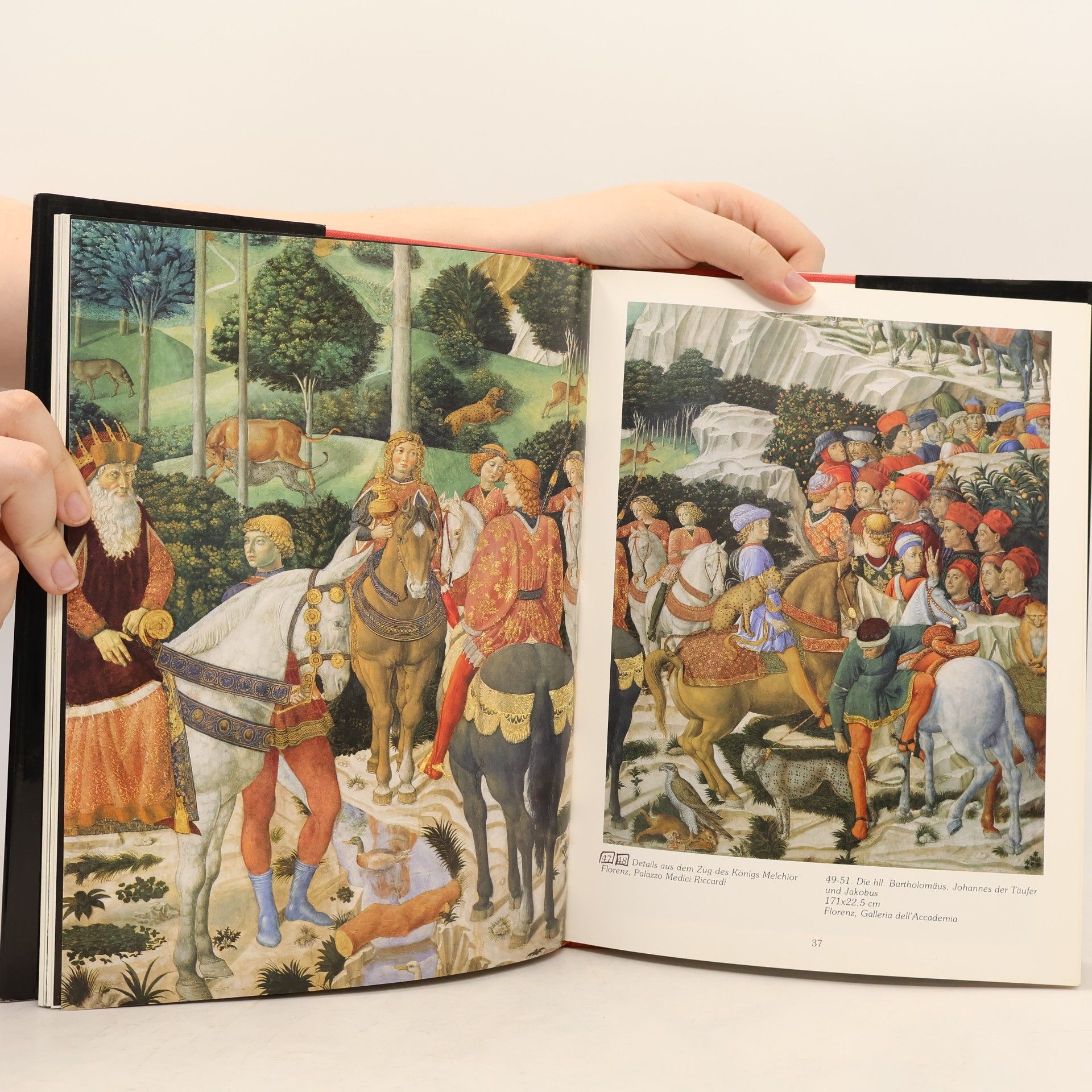 Kolektiv autorů Benozzo Gozzoli