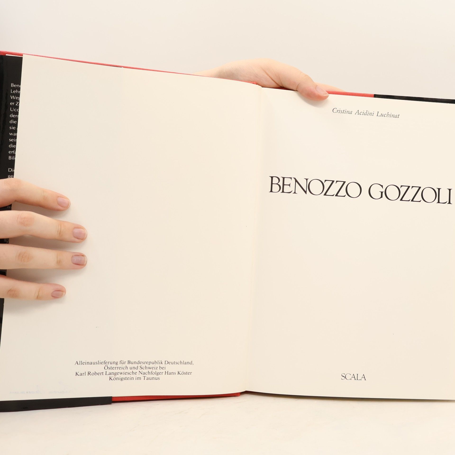 Kolektiv autorů Benozzo Gozzoli