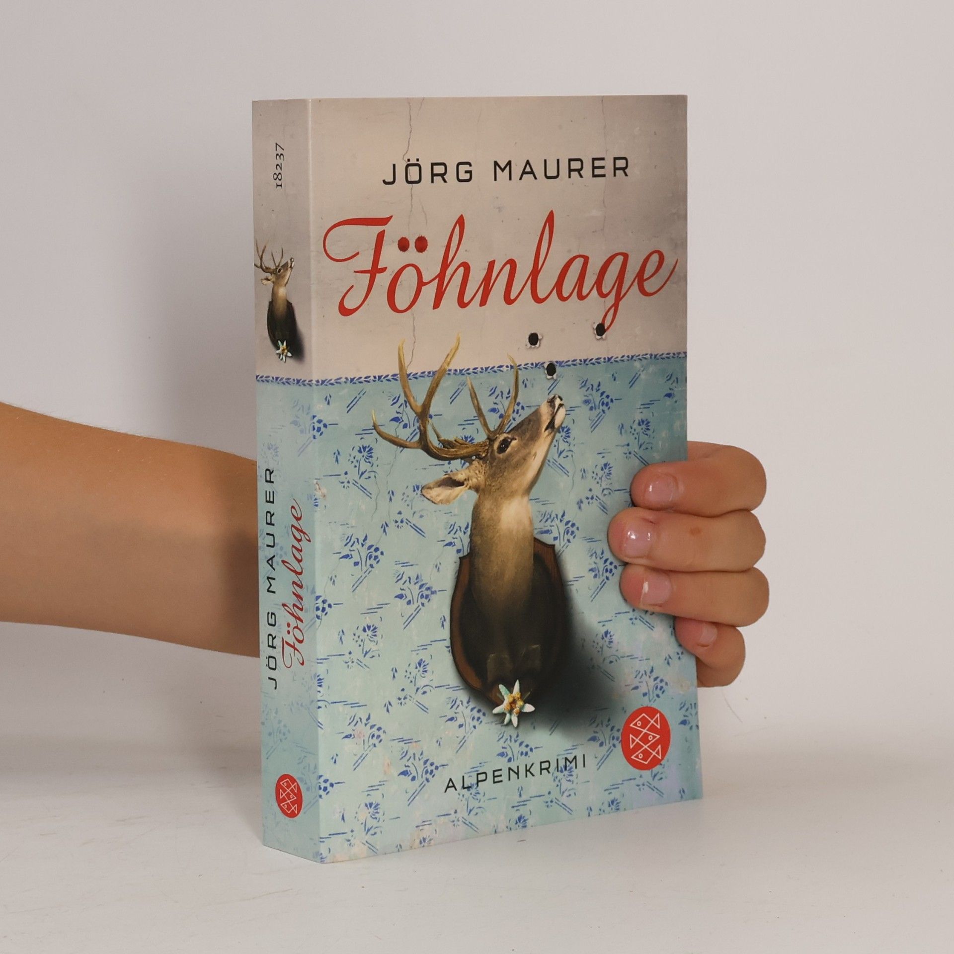 Jörg Maurer Föhnlage