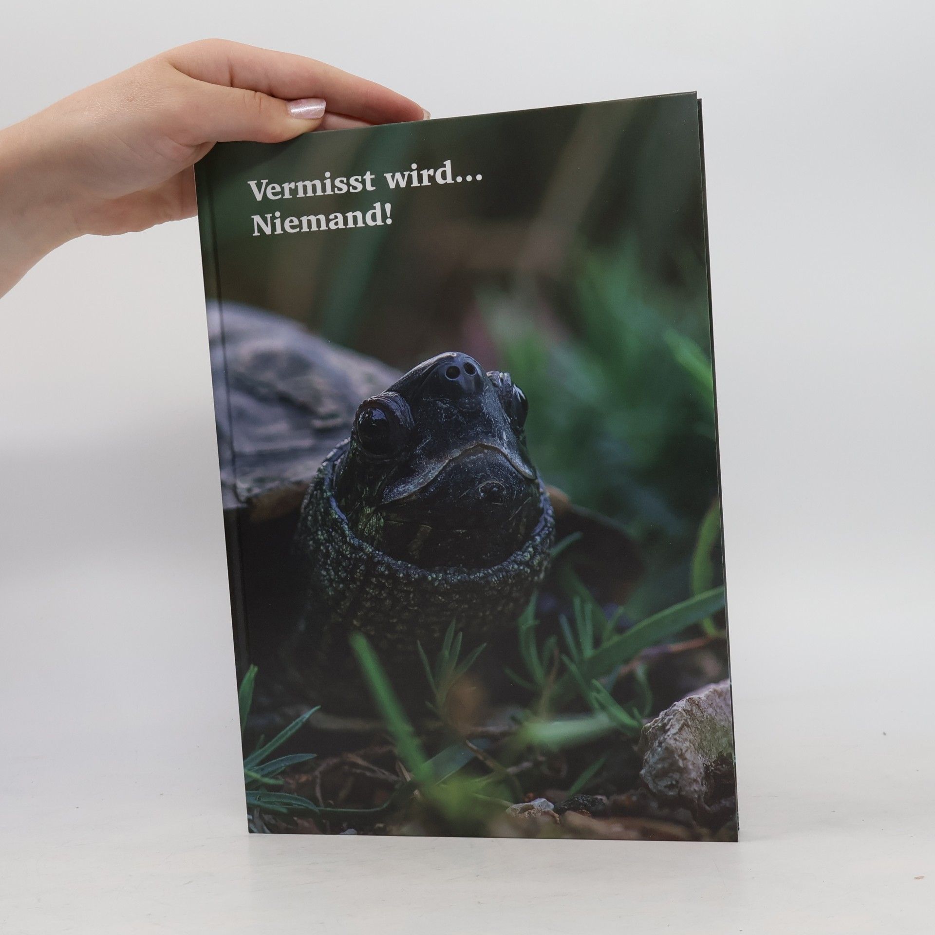 AA.VV. Vermisst wird... Niemand!