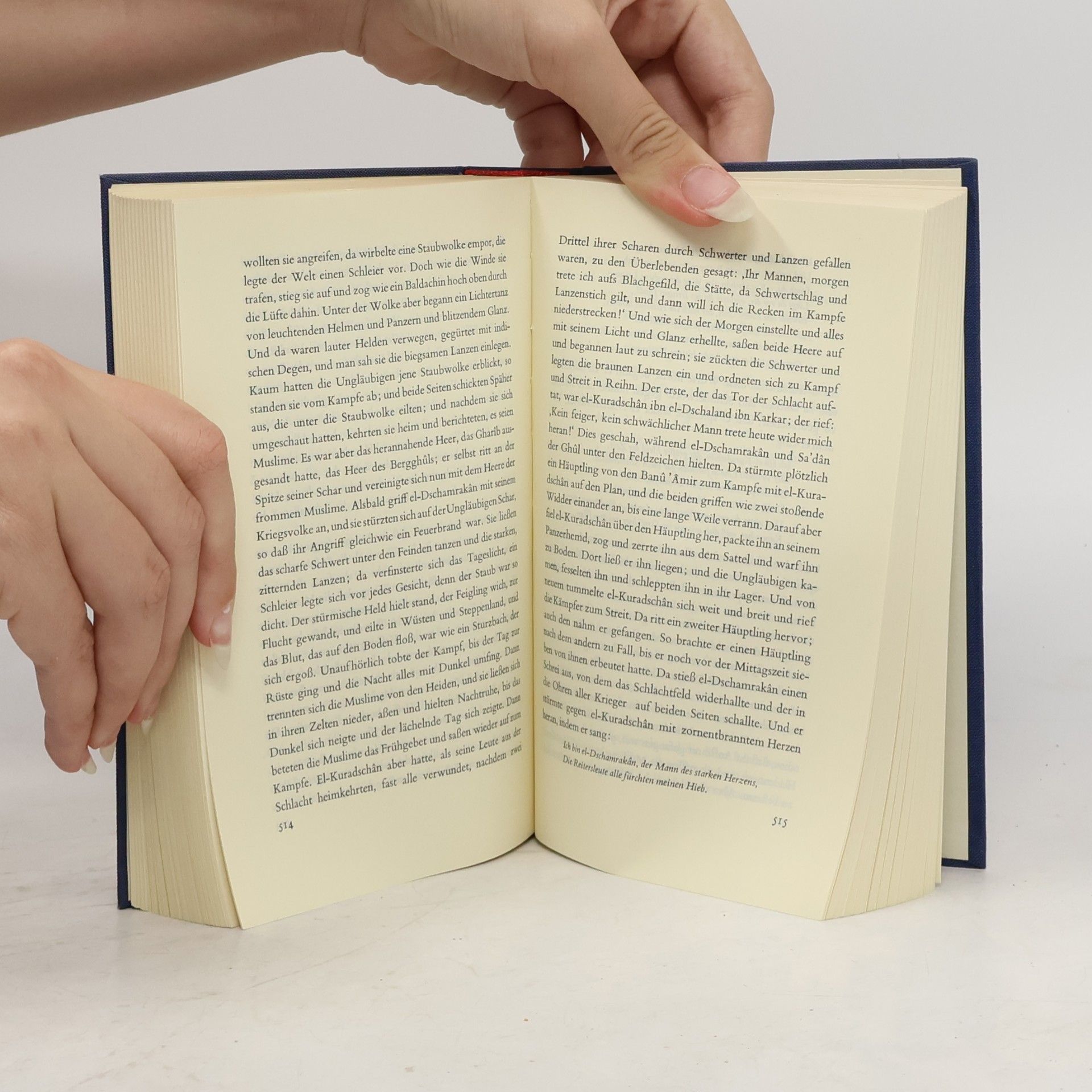 Autorenkollektiv Die Erzählungen aus den Tausendundein Nächten. Band IV.