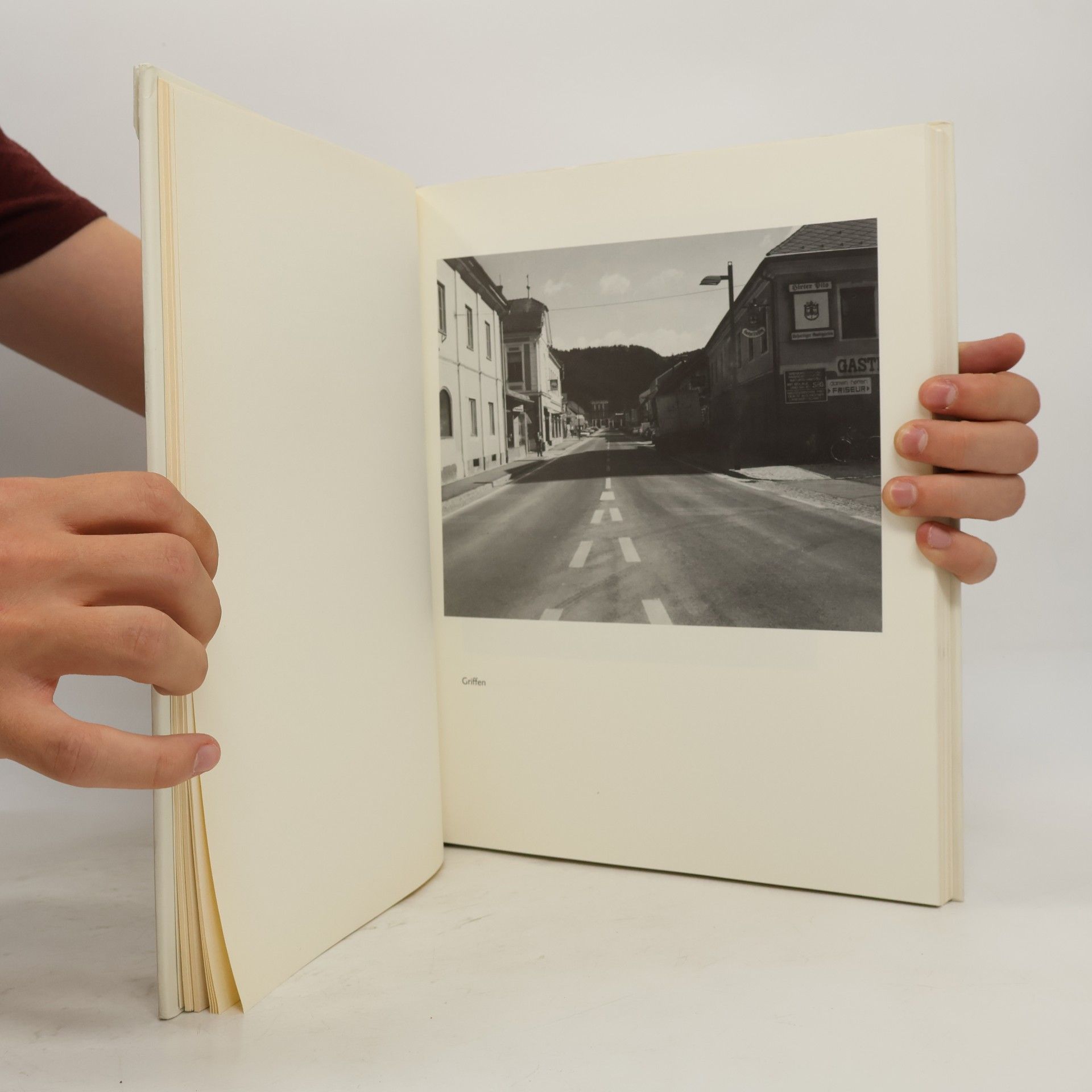 Peter Handke Ein Wortland