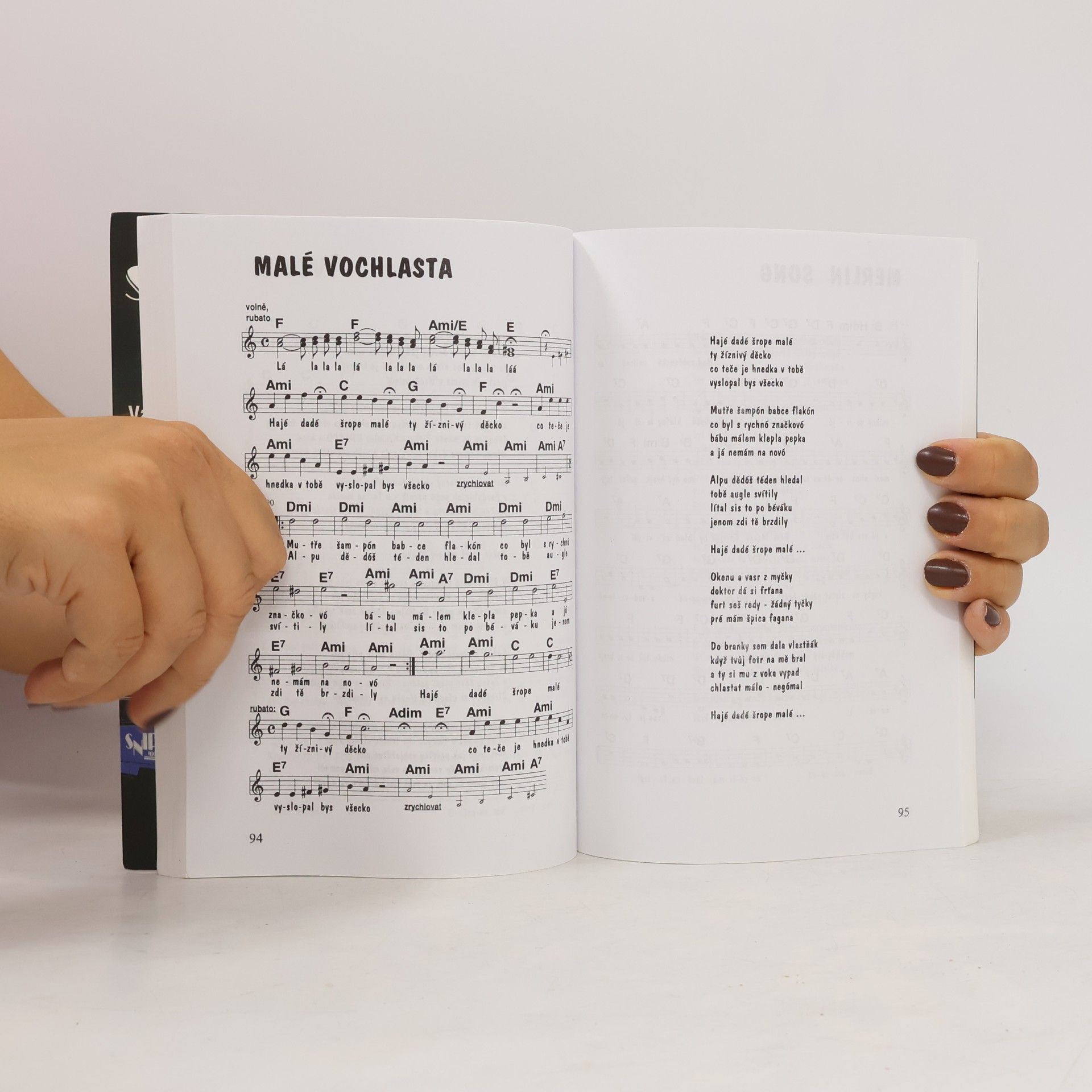 Autorenkollektiv Velká kniha hantecu