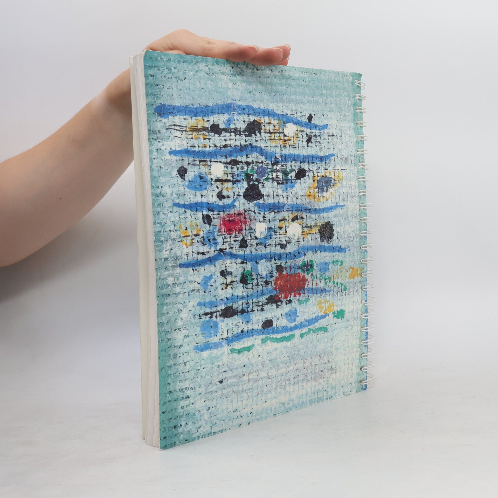 kolektiv Das Bergleitheft zum Pro Senectute Liederbuch