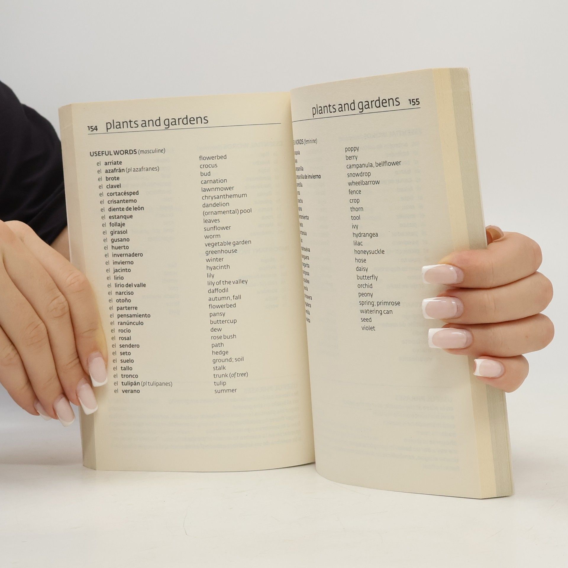Various authors Spanish Vocabulary