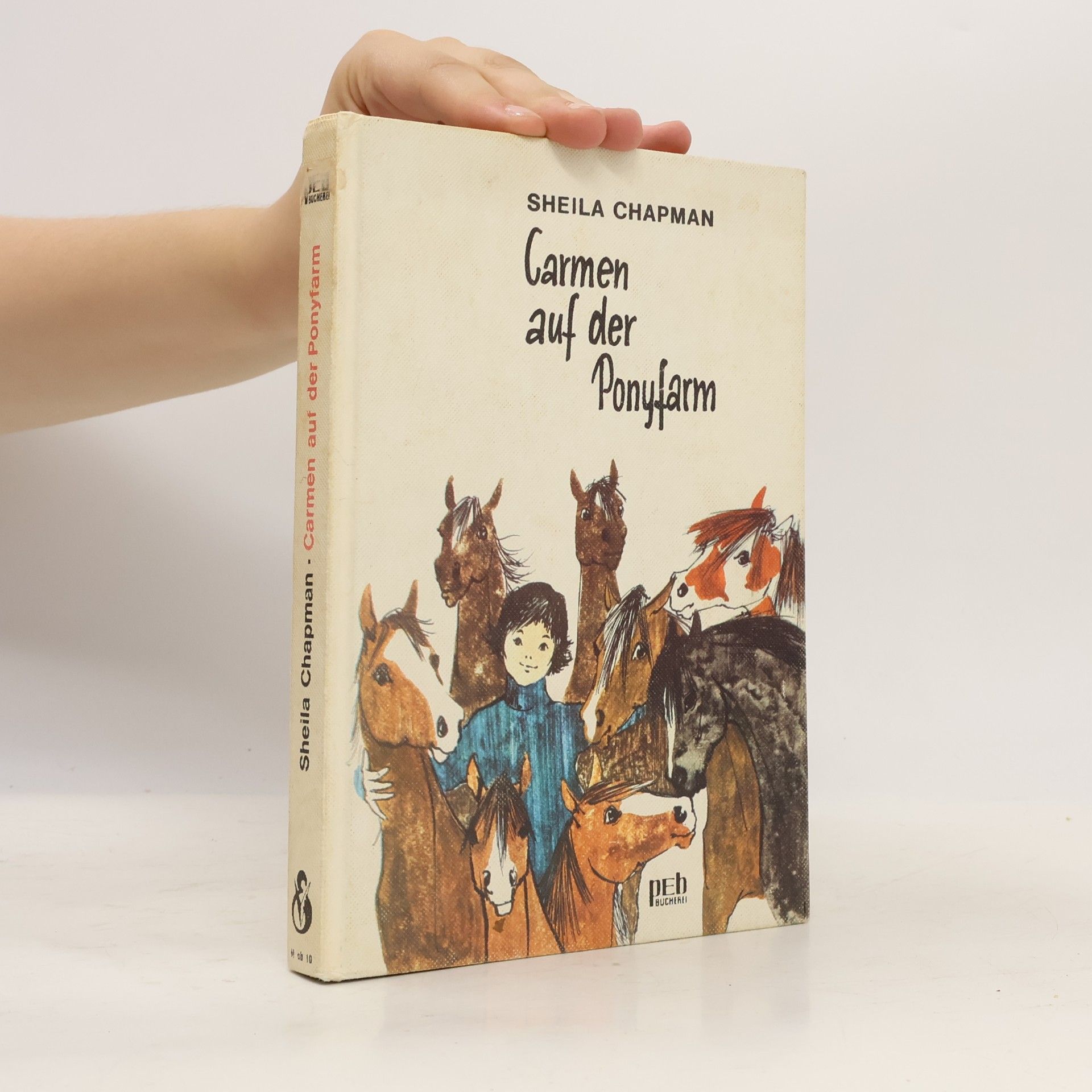 Sheila Chapman Carmen auf der Ponyfarm