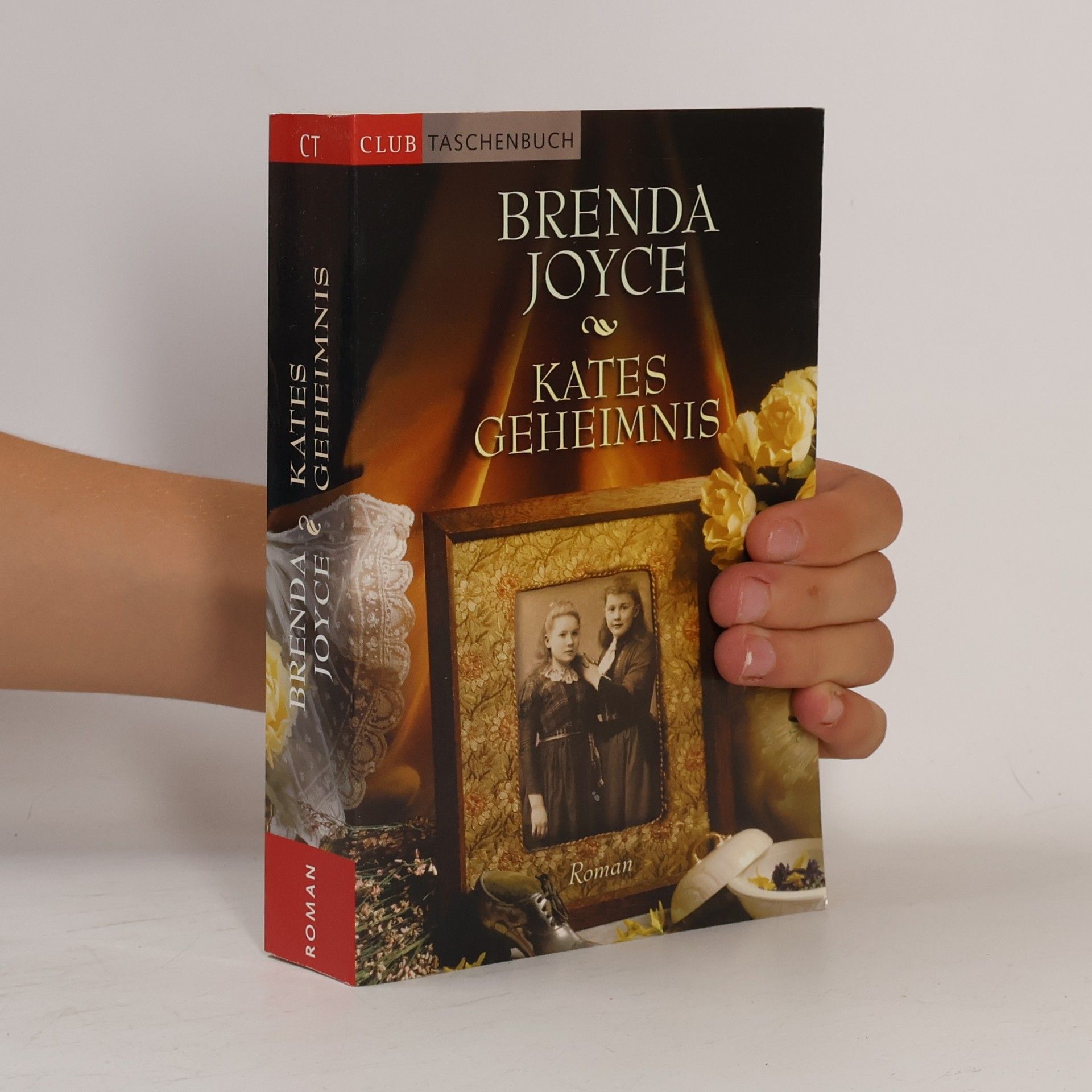 Brenda Joyce Kates Geheimnis