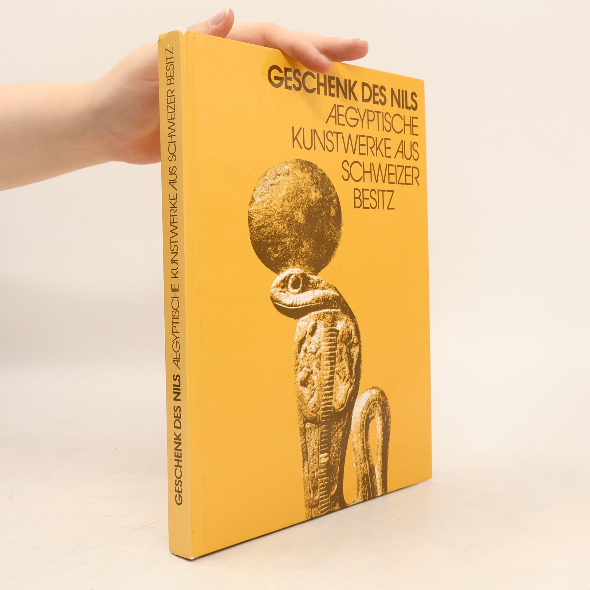 kolektiv Geschenk des Nils