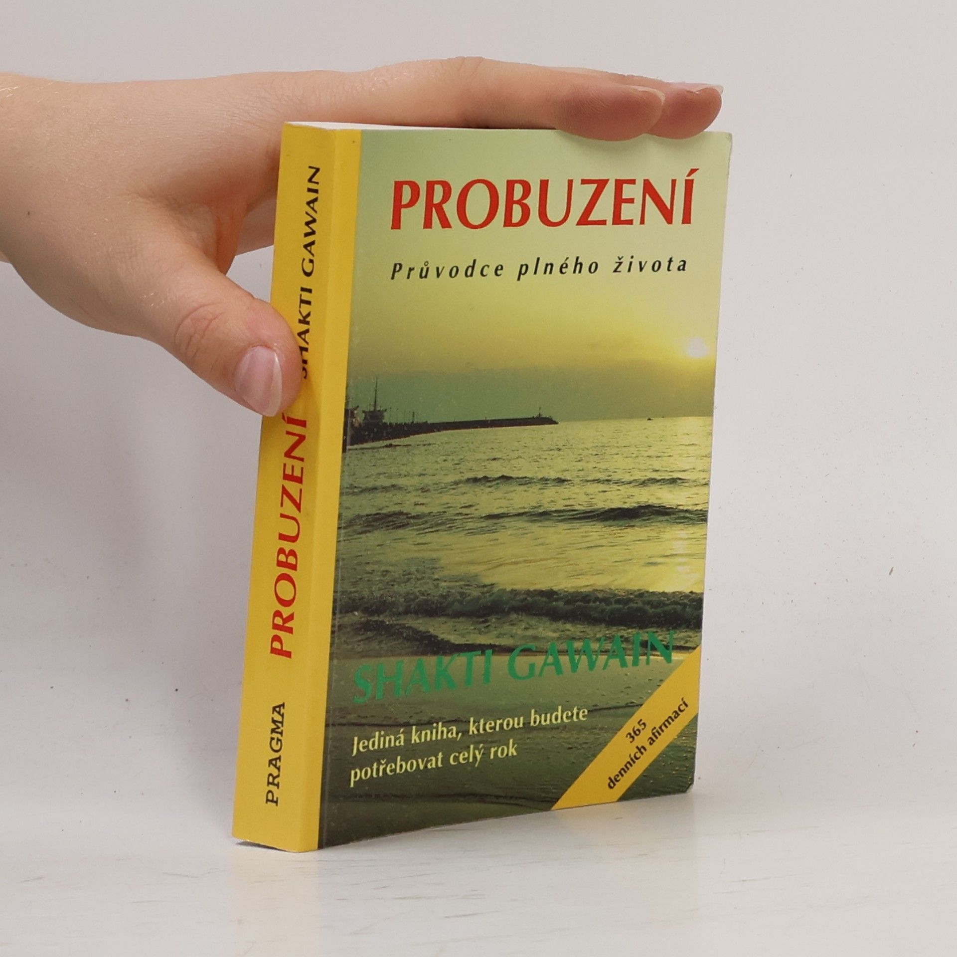 Shakti Gawain Probuzení. Průvodce plného života