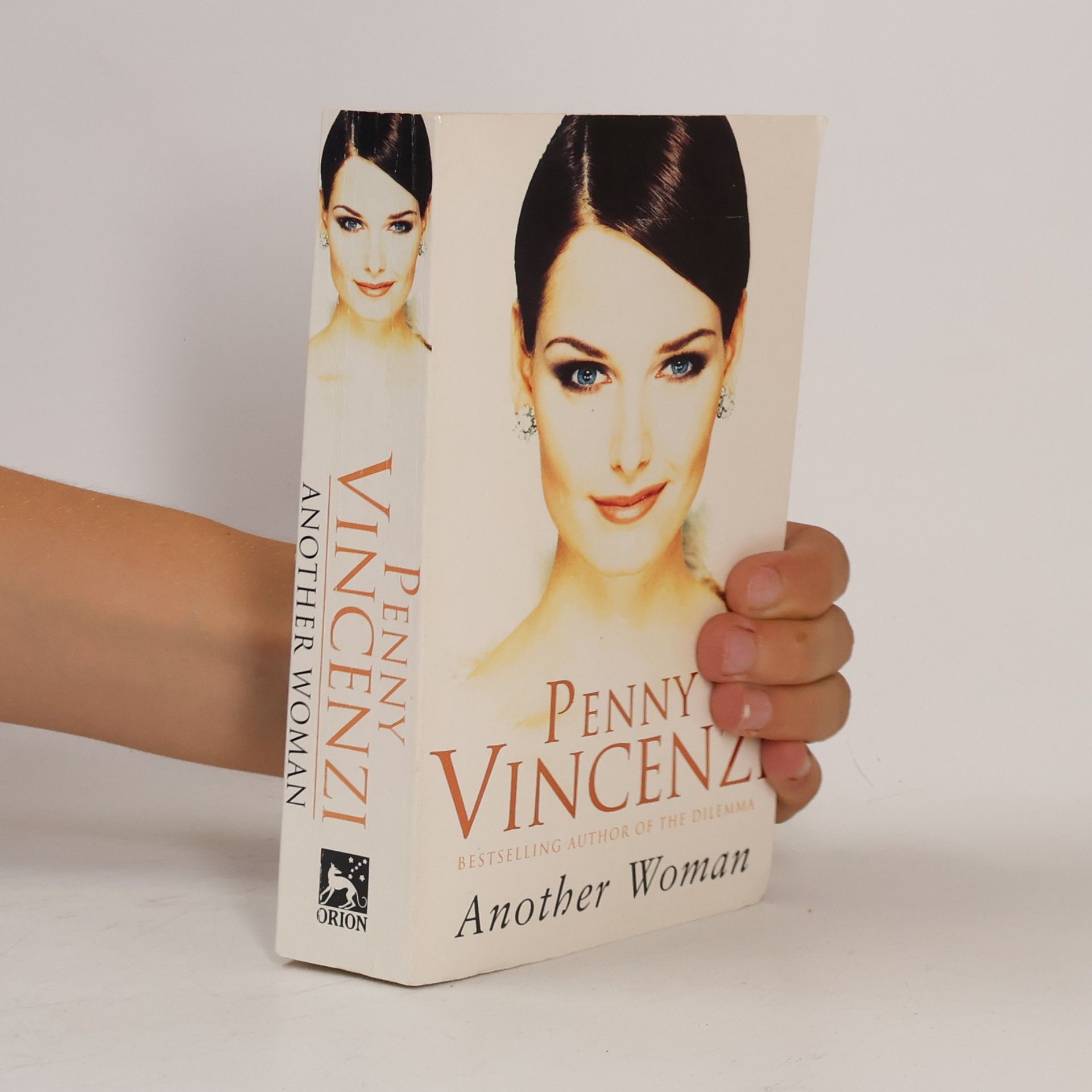 Penny Vincenzi Another Woman