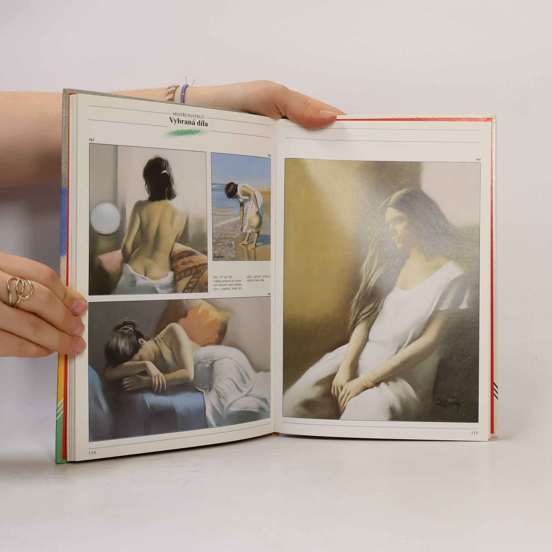 Salvador González Olmedo Jak malovat pastel