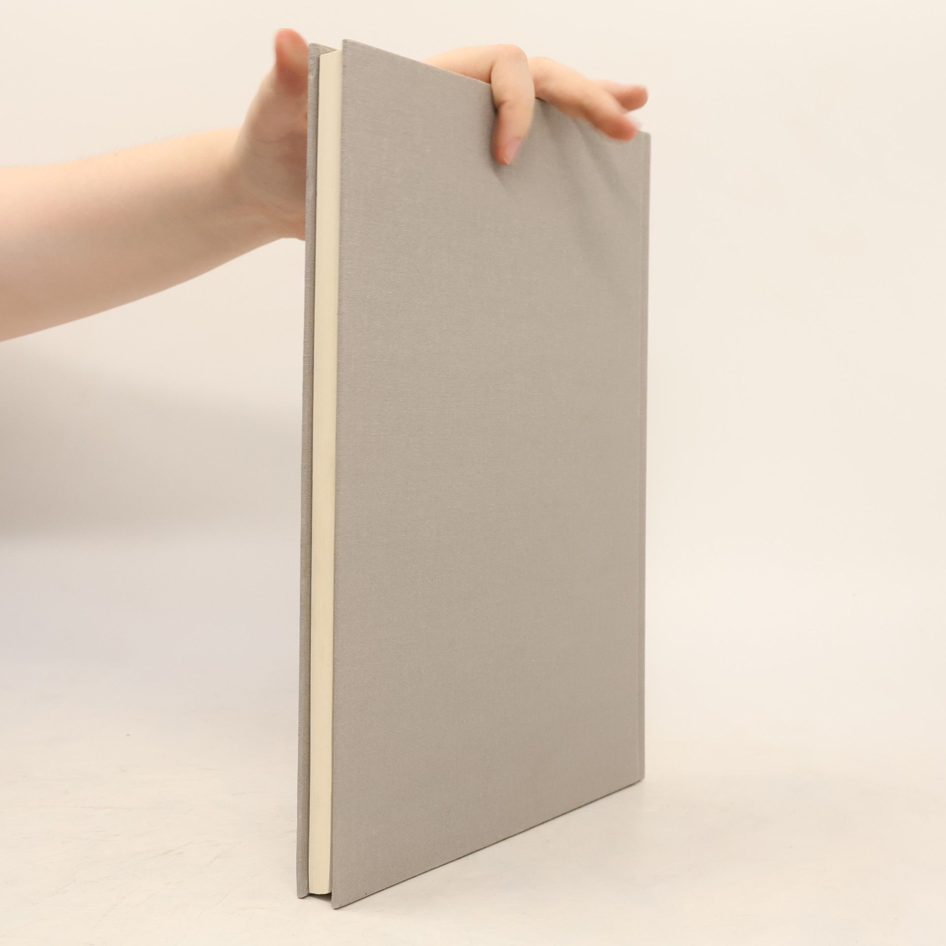 Andre Thomkins Die Druckgrafik und Monotypisches