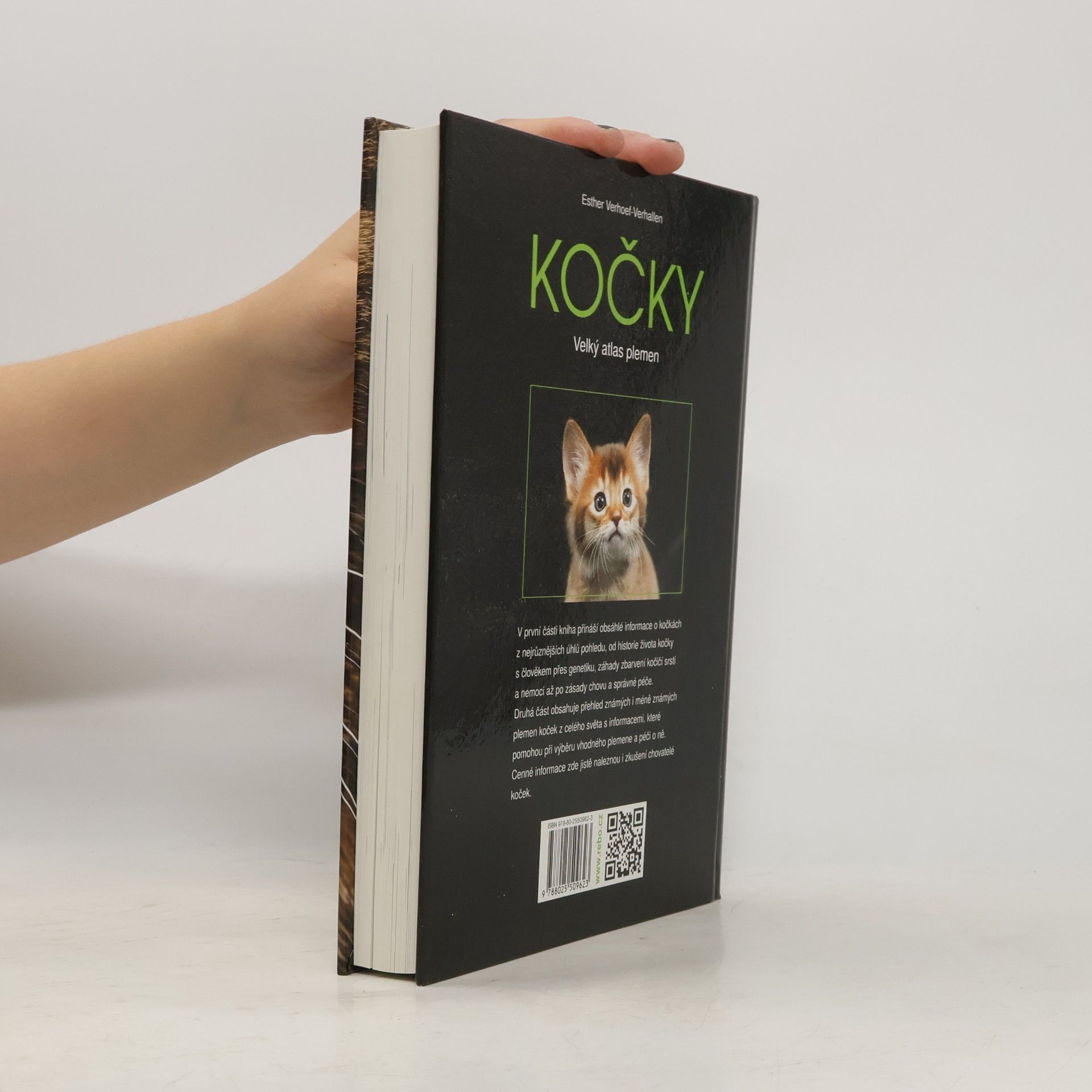 Esther Verhoef Kočky: Velký atlas plemen
