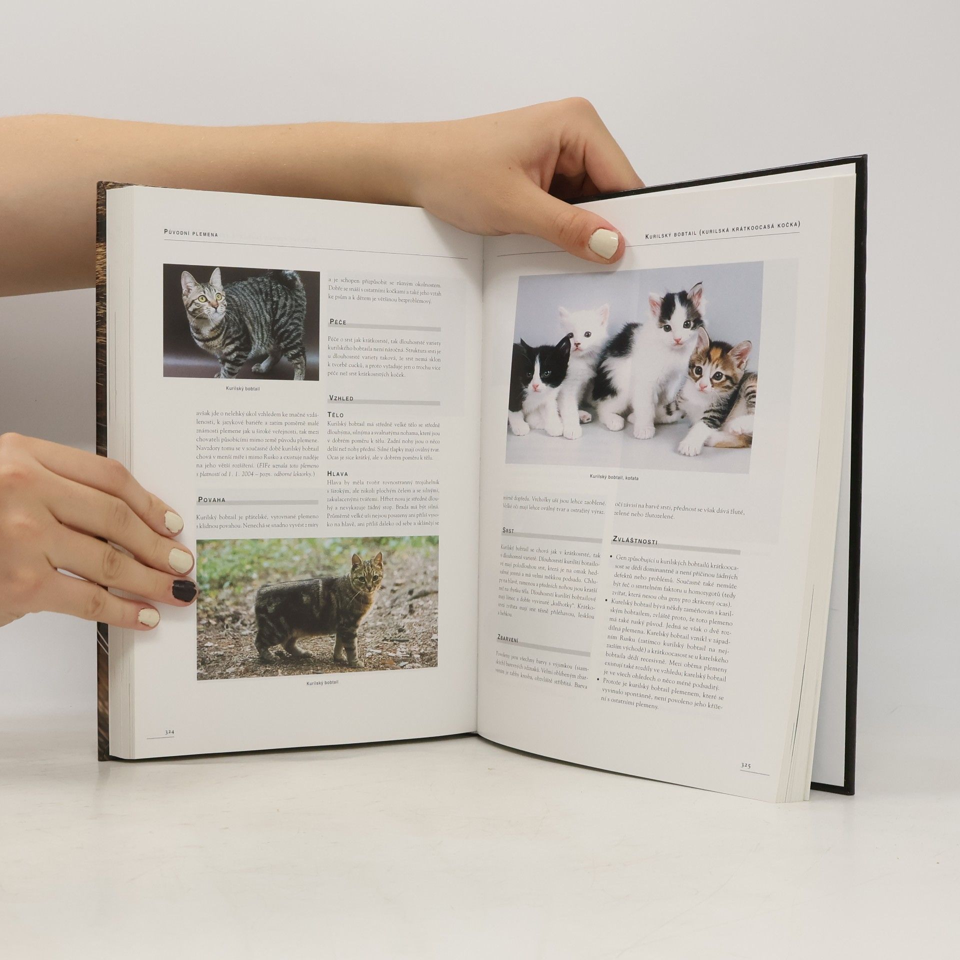 Esther Verhoef Kočky: Velký atlas plemen