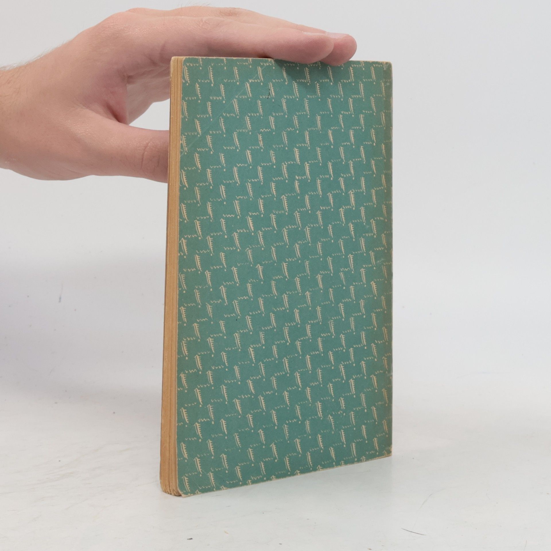Rudolf G. Binding Der Opfergang