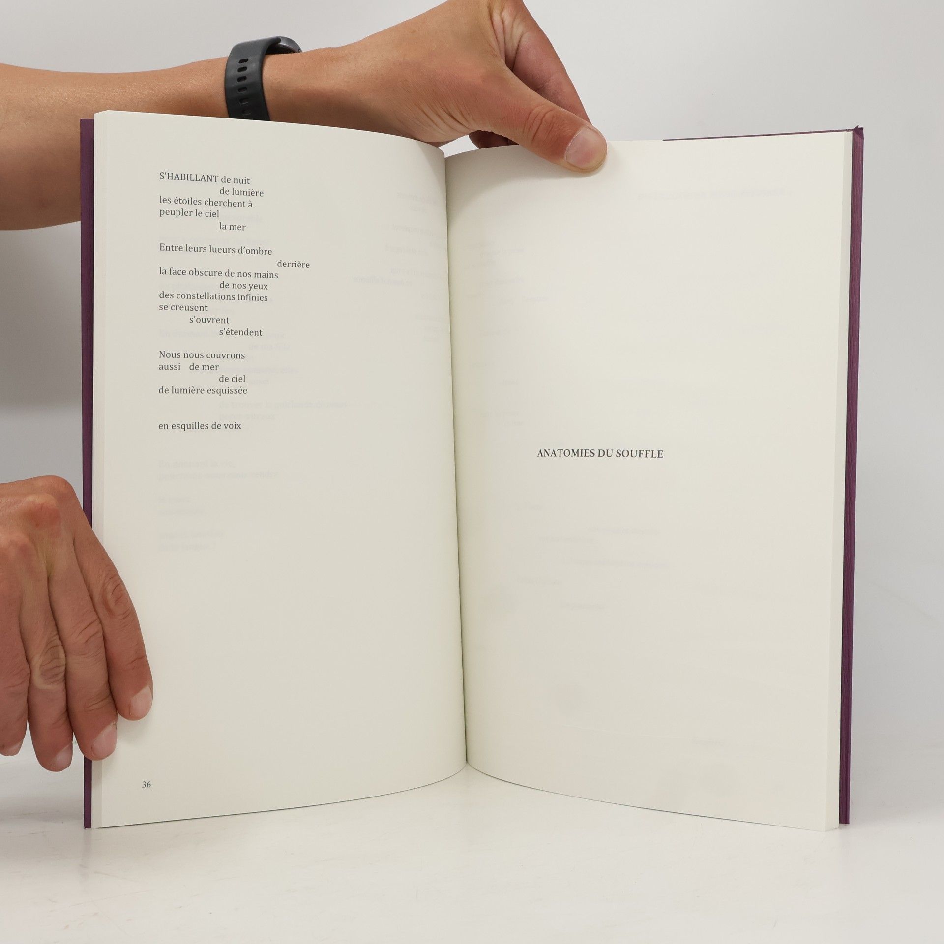 Nuria Manzur-Wirth Esquilles
