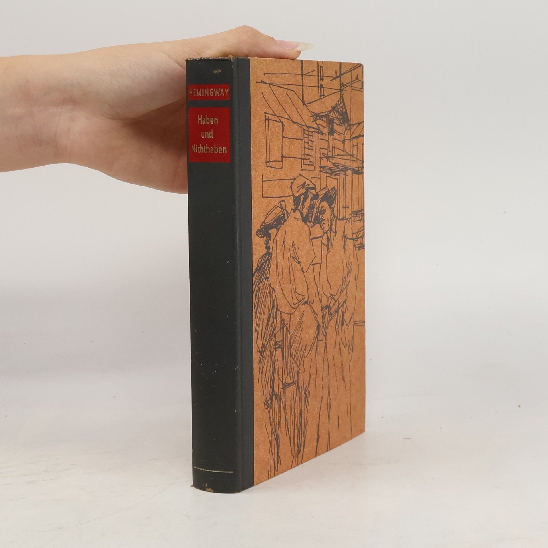 Ernest Hemingway Haben und Nichthaben