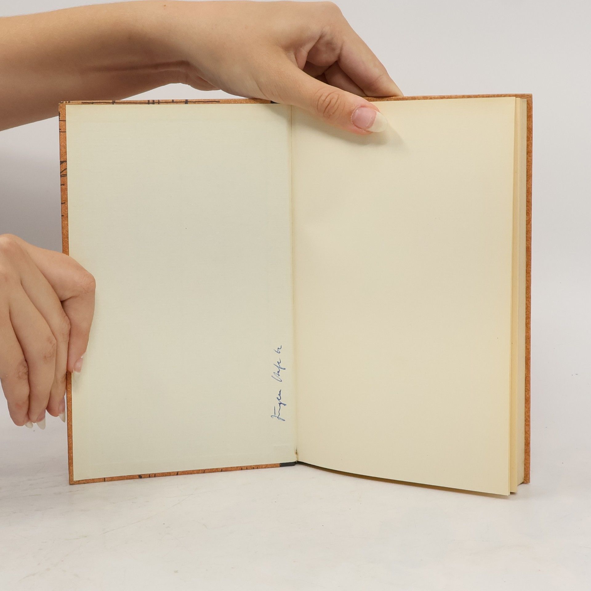 Ernest Hemingway Haben und Nichthaben