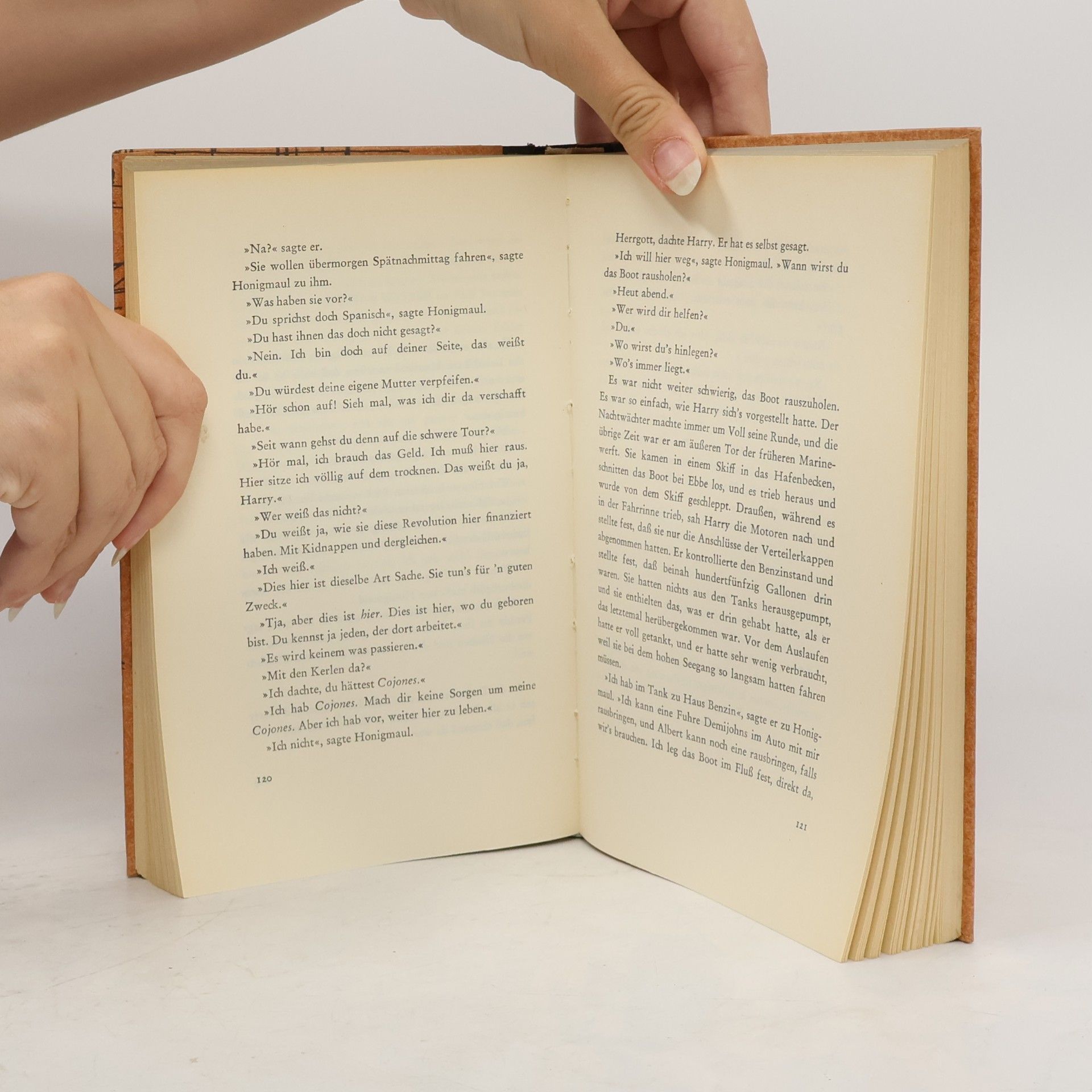 Ernest Hemingway Haben und Nichthaben