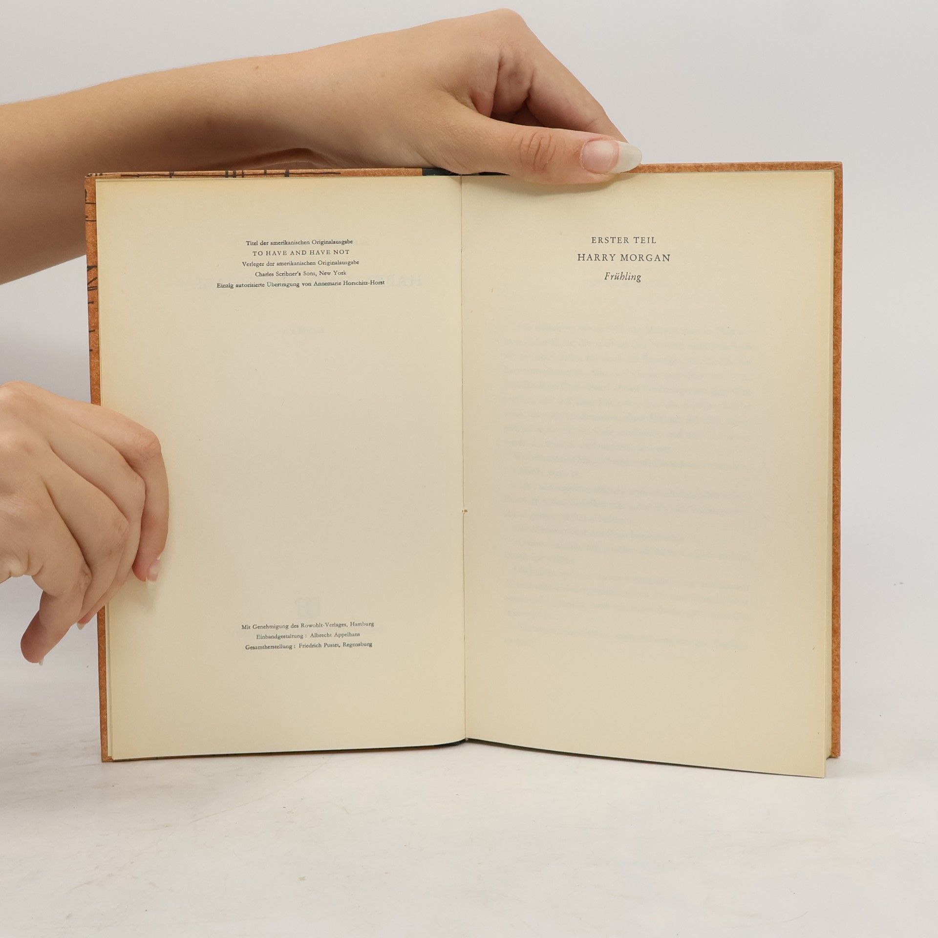Ernest Hemingway Haben und Nichthaben