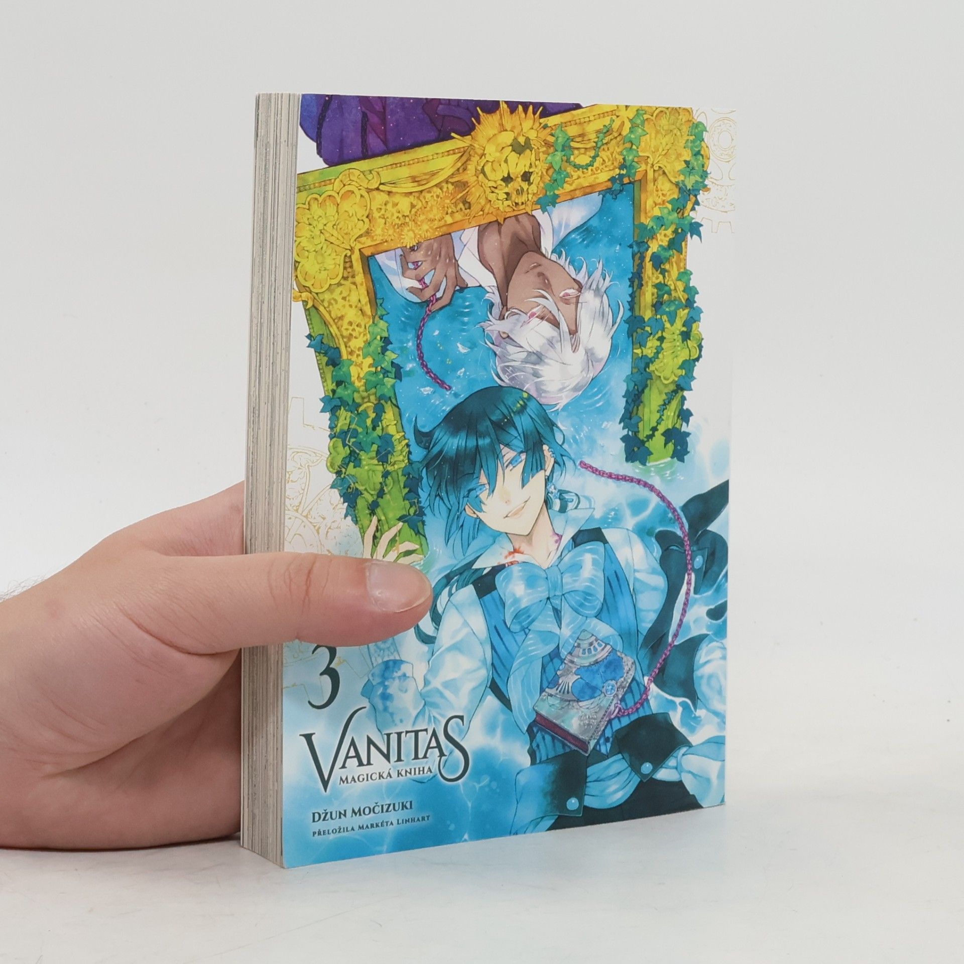 Vanitas 3