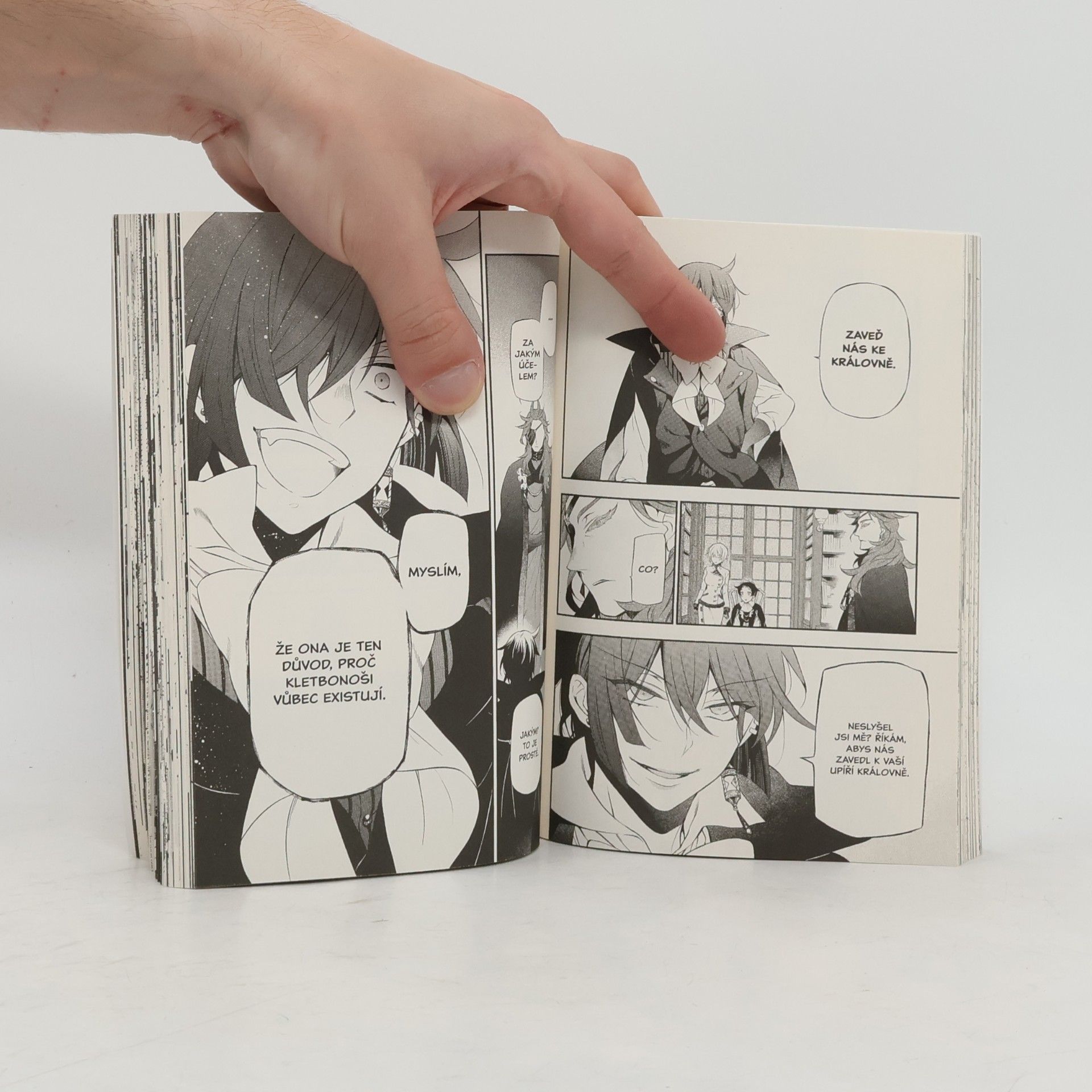 Jun Mochizuki Vanitas 3