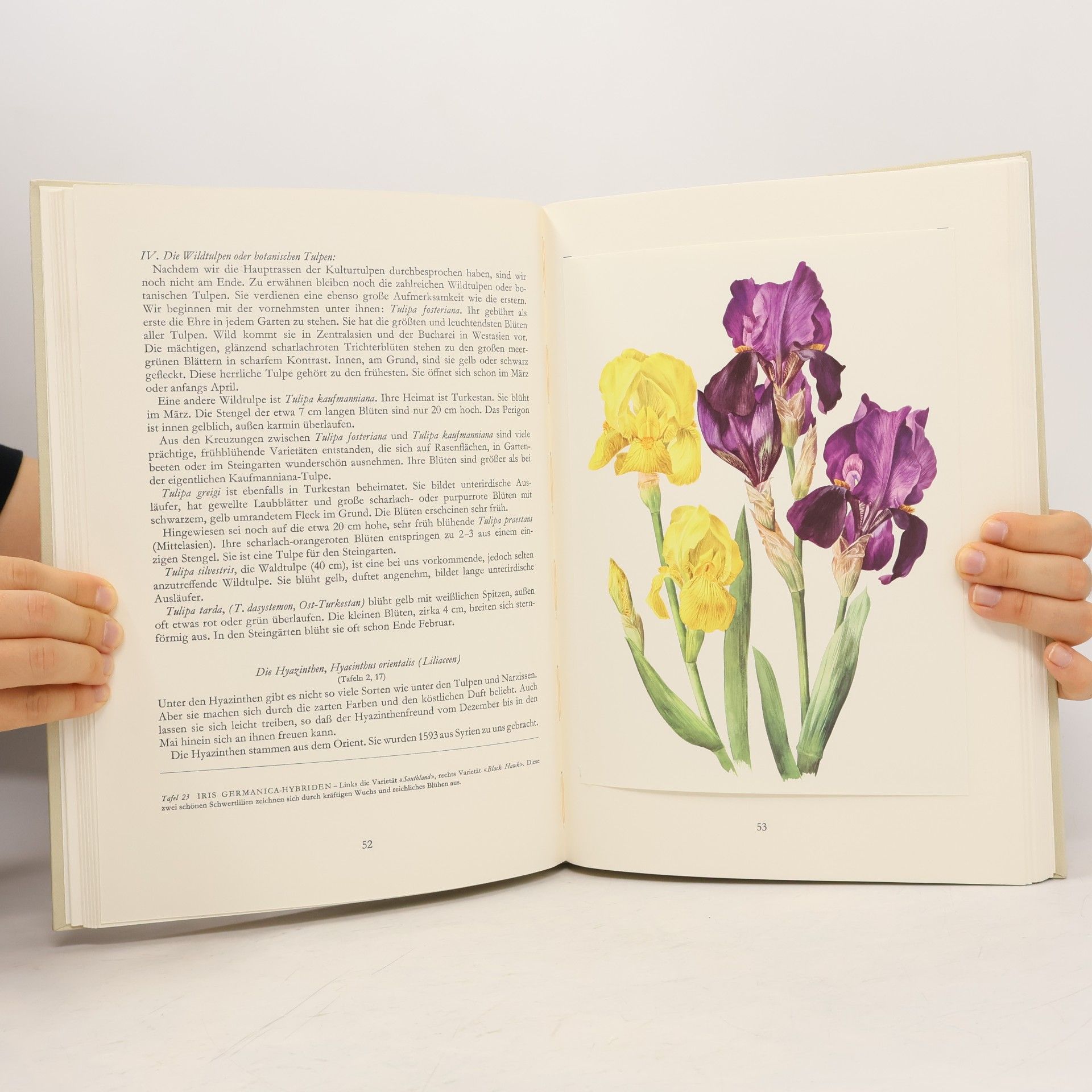 Autorenkollektiv Wunderwelt der Gartenblumen I