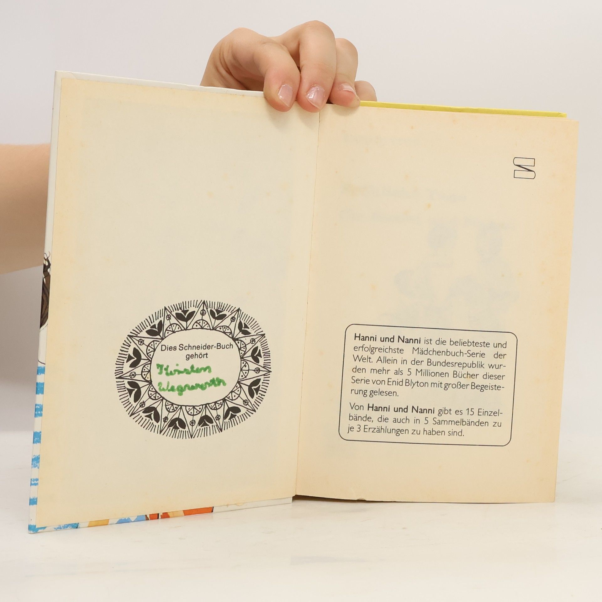 Enid Blyton Fröhliche Tage für Hanni und Nanni