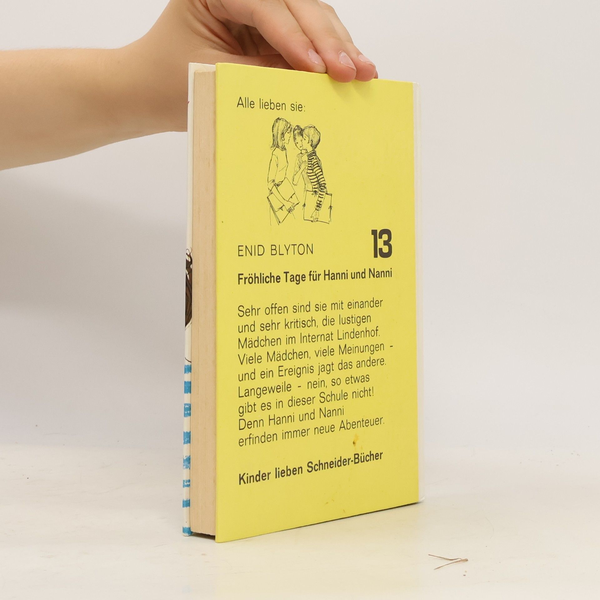 Enid Blyton Fröhliche Tage für Hanni und Nanni