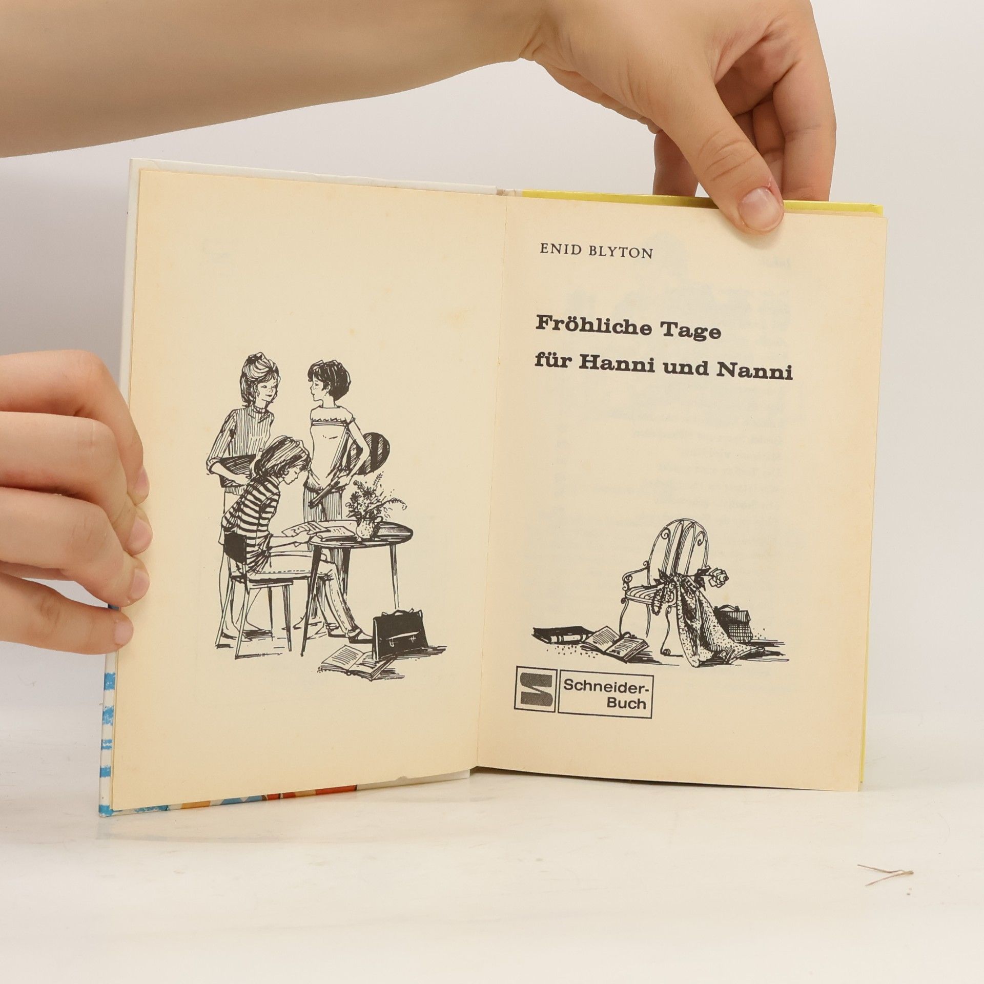 Enid Blyton Fröhliche Tage für Hanni und Nanni