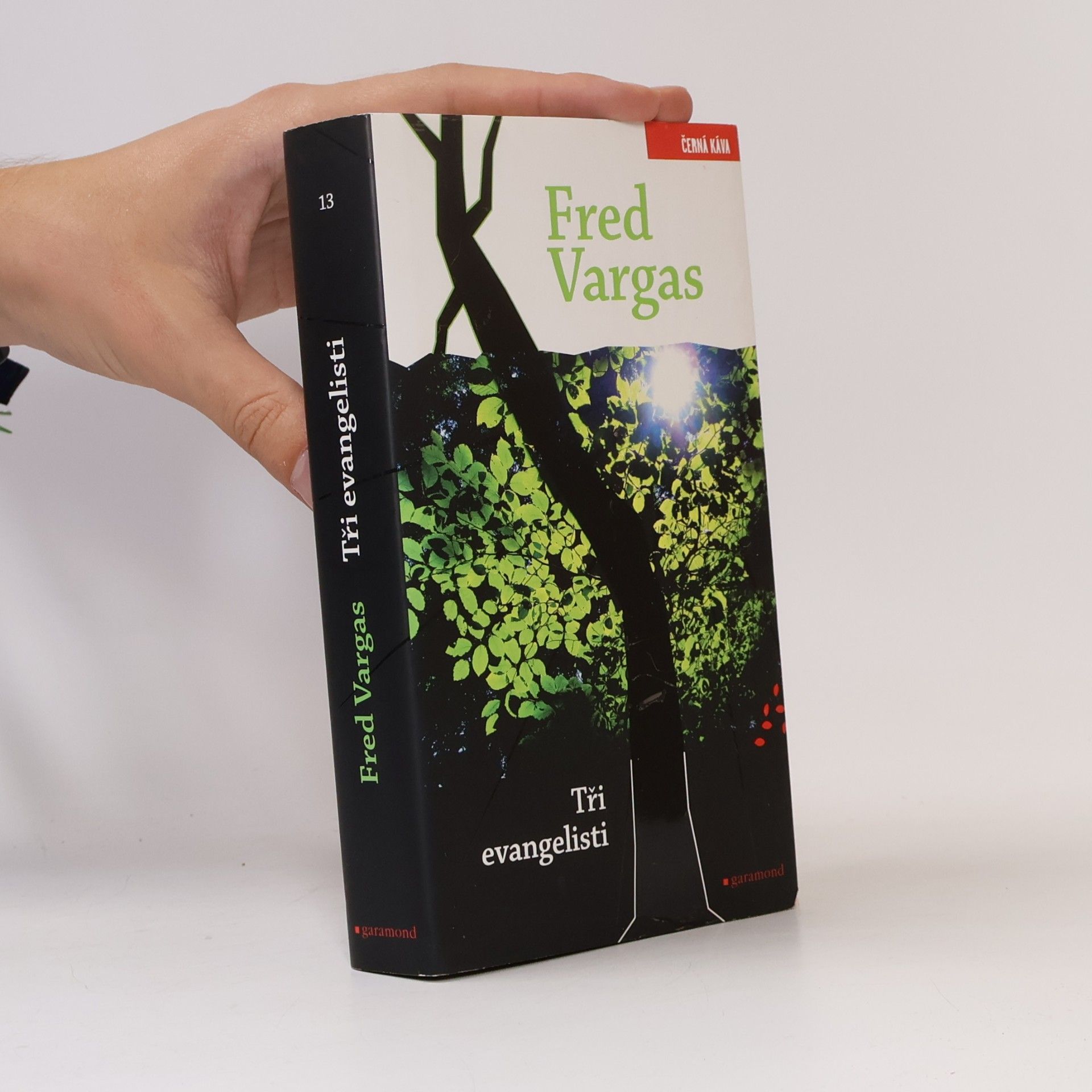 Fred Vargas Tři evangelisti