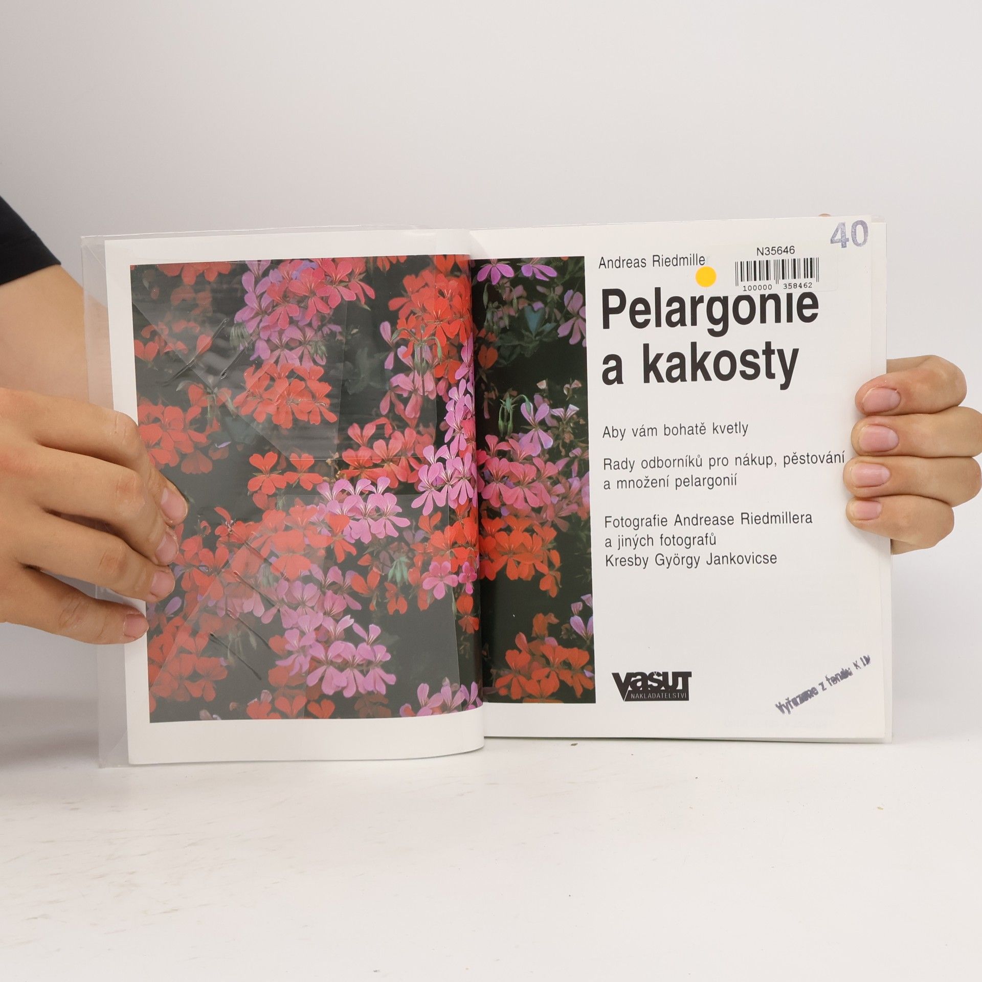 Andreas Riedmiller Pelargonie a kakosty: Aby vám bohatě kvetly: Rady odborníků pro nákup, pěstování a množení pelargonií