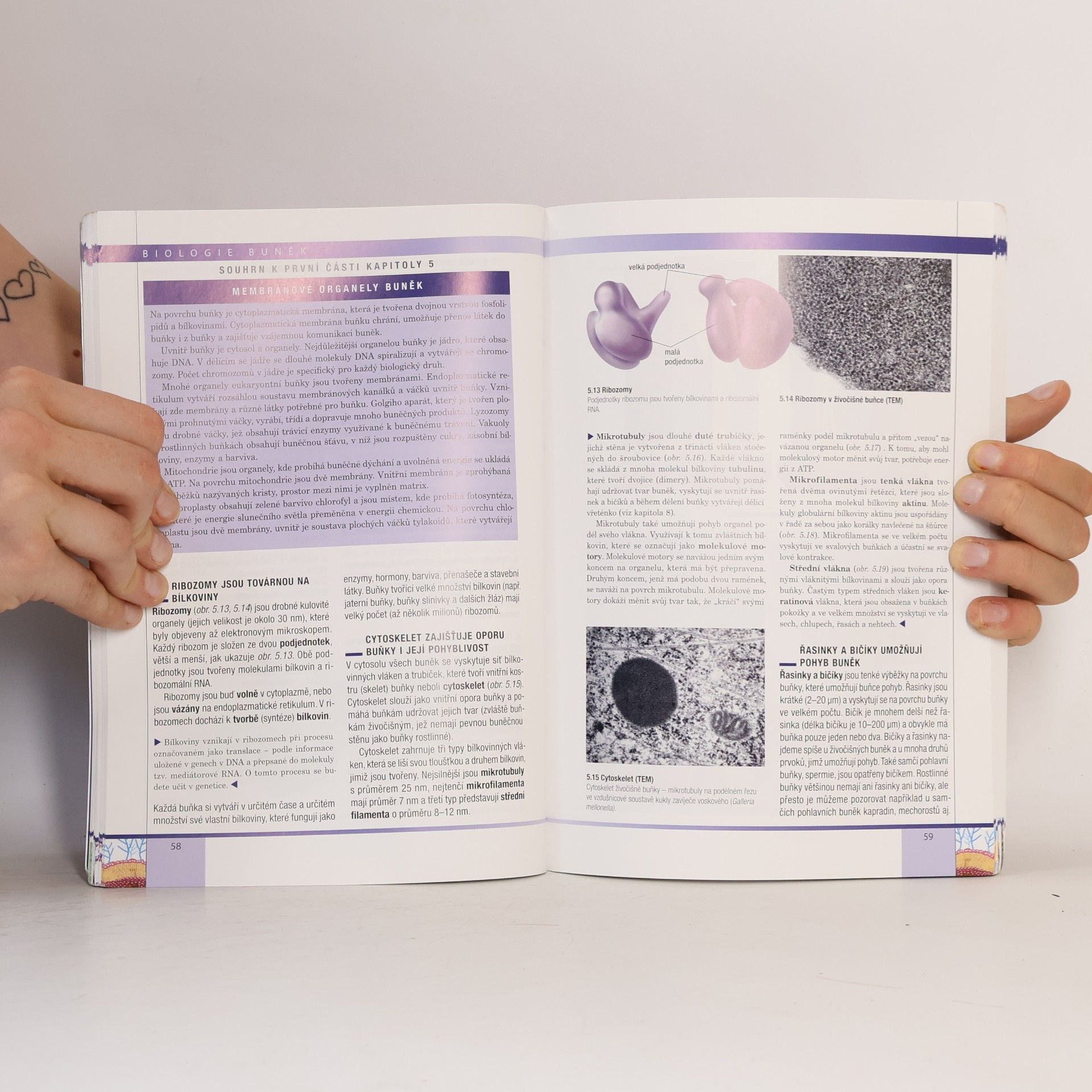Radka Závodská Biologie buněk: Základy cytologie, bakteriologie, virologie
