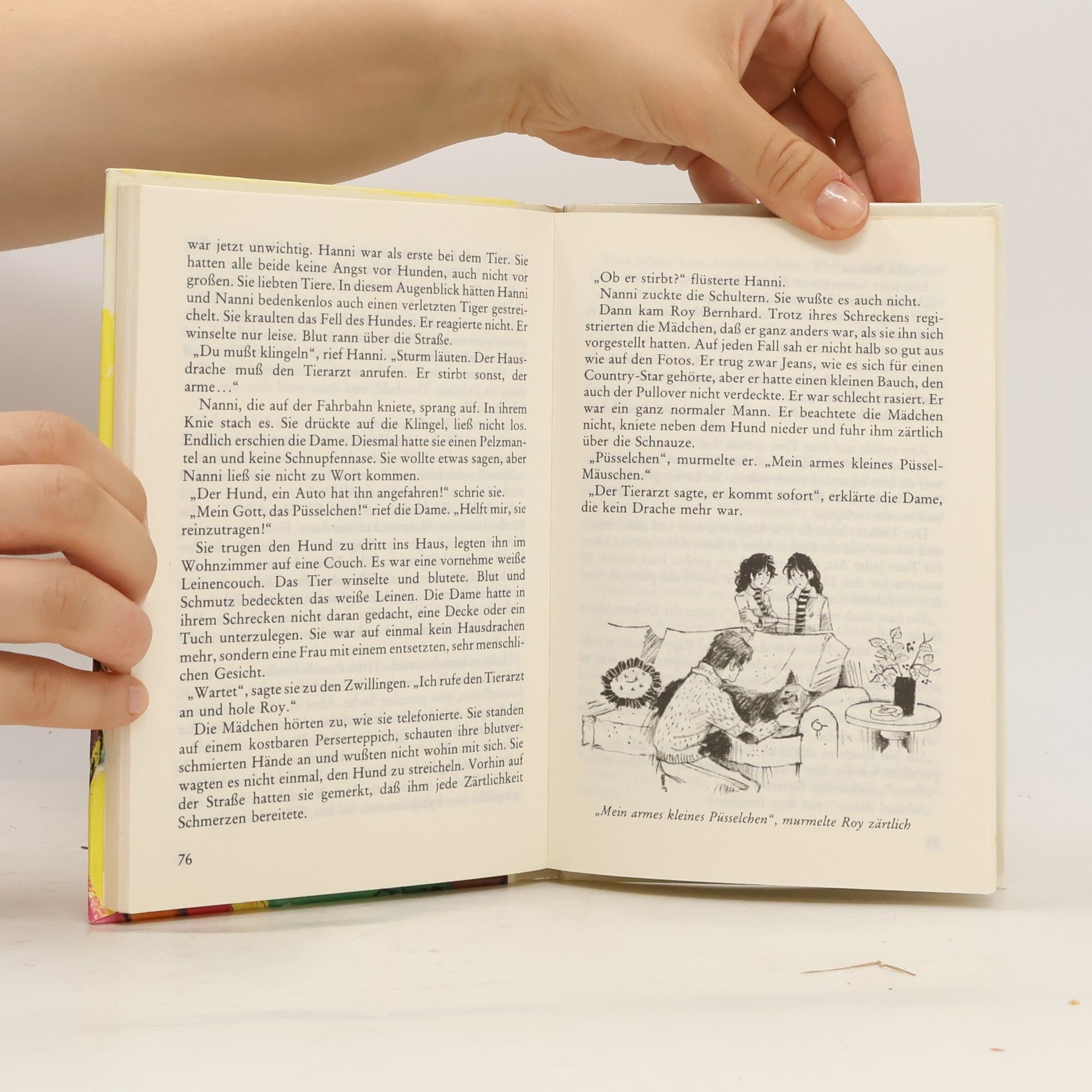 Enid Blyton Hanni und Nanni bringen alle in Schwung