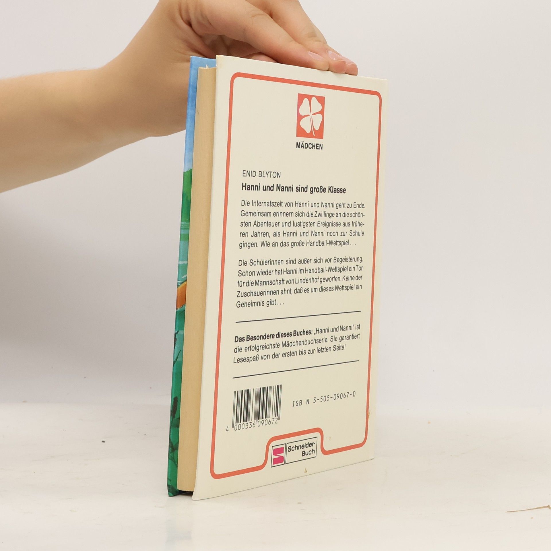 Enid Blyton Hanni und Nanni sind grosse Klasse