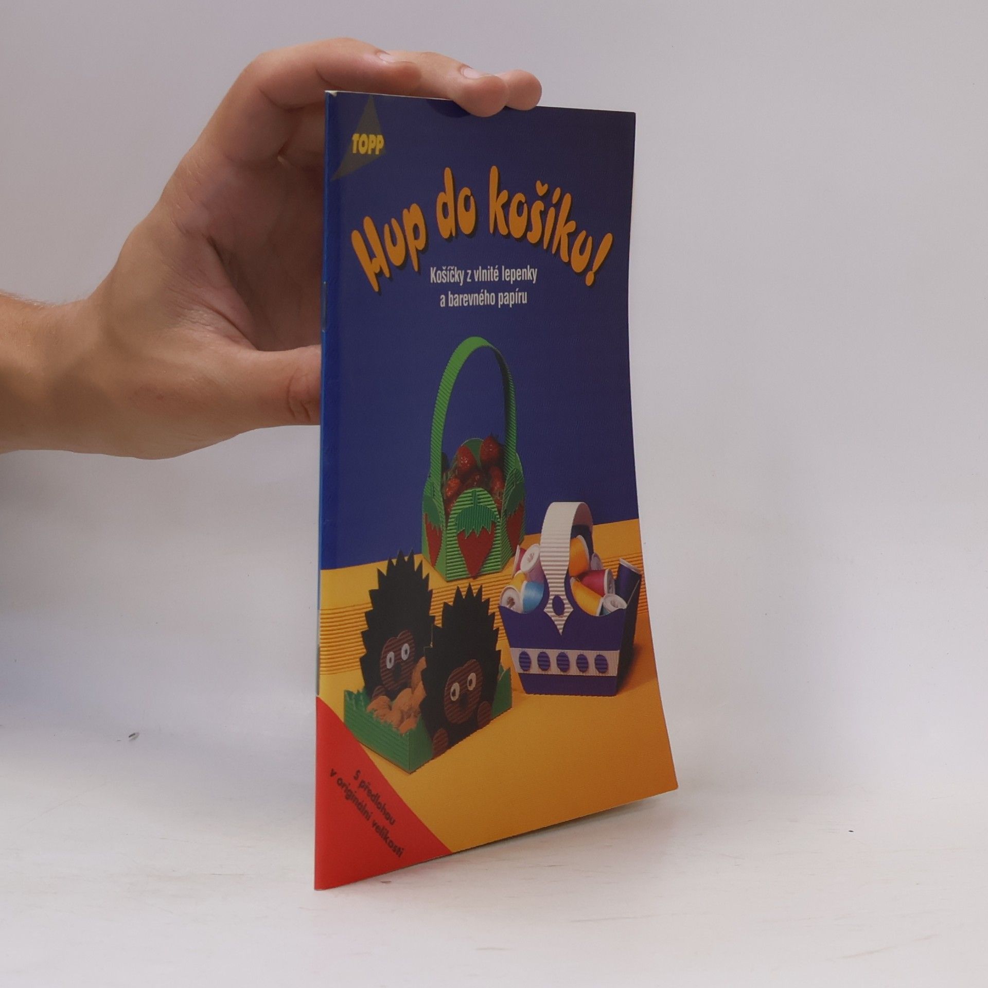 Julia Täubner Hup do košíku! : košíčky z vlnité lepenky a barevného papíru